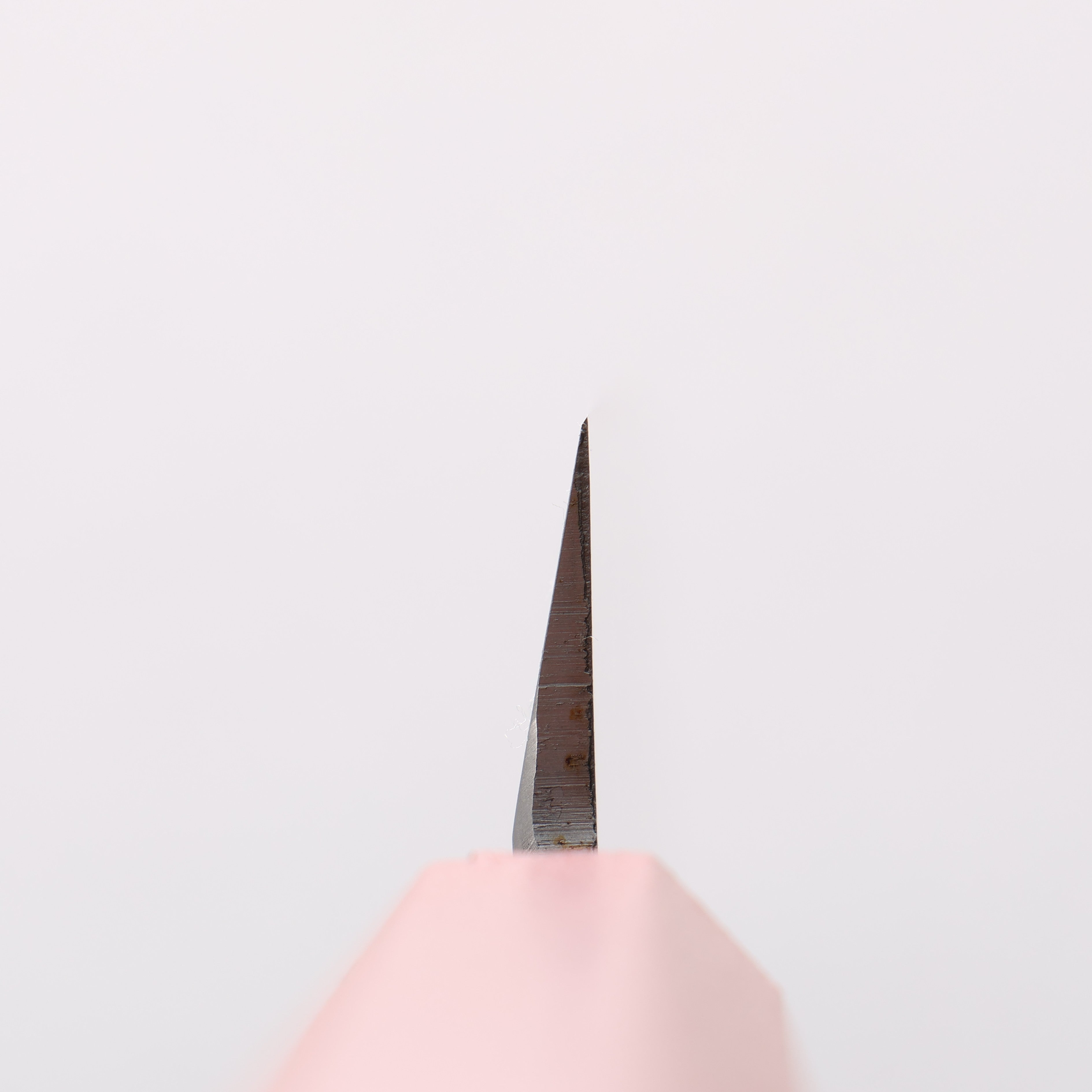 Sakai Takayuki Nanairo INOX Molybdenum Yanagiba 270mm ABS resin(Red pearl) Handle - Japanny - Best Japanese Knife