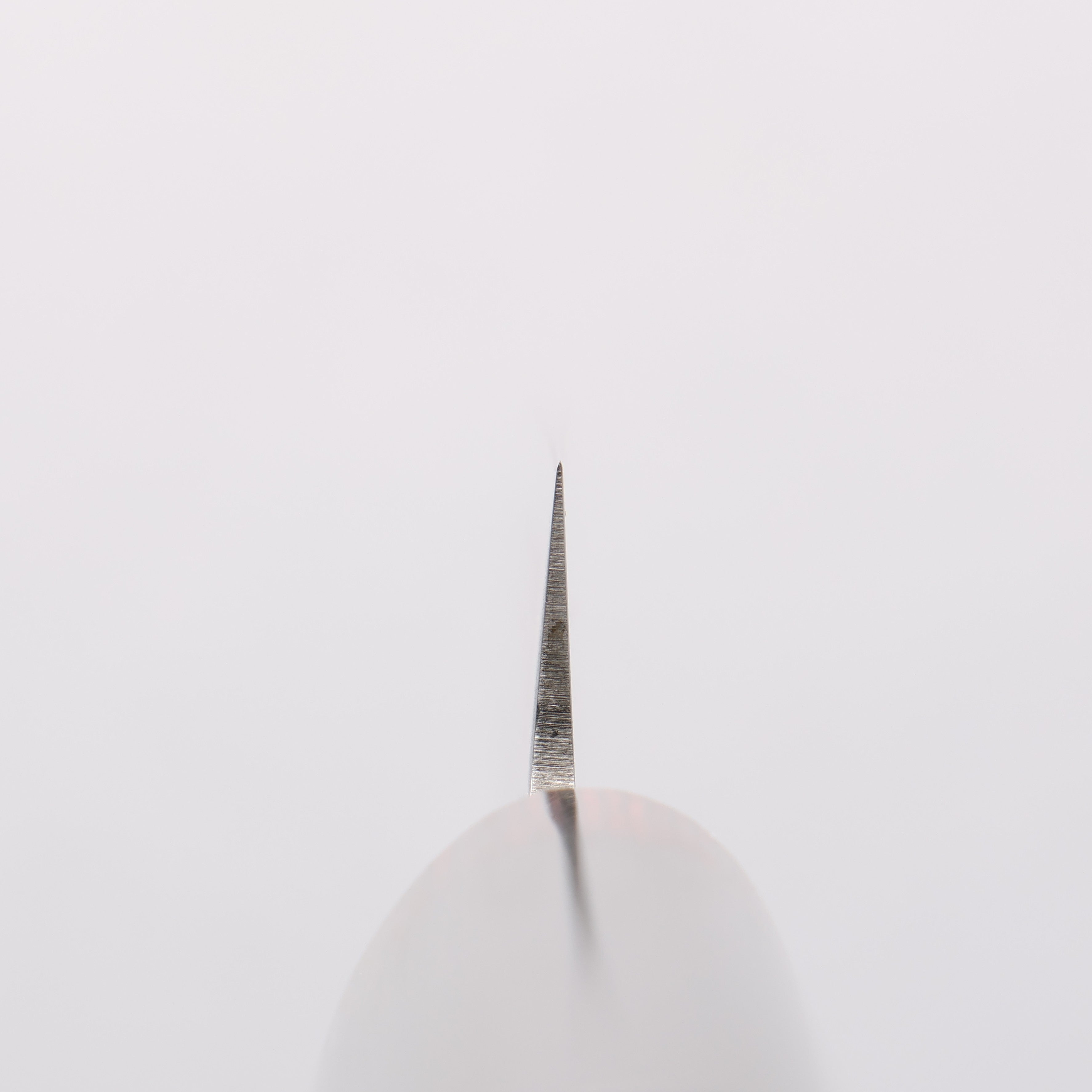 Iseya VG10 Damascus Yanagiba 210mm - Japanny - Best Japanese Knife