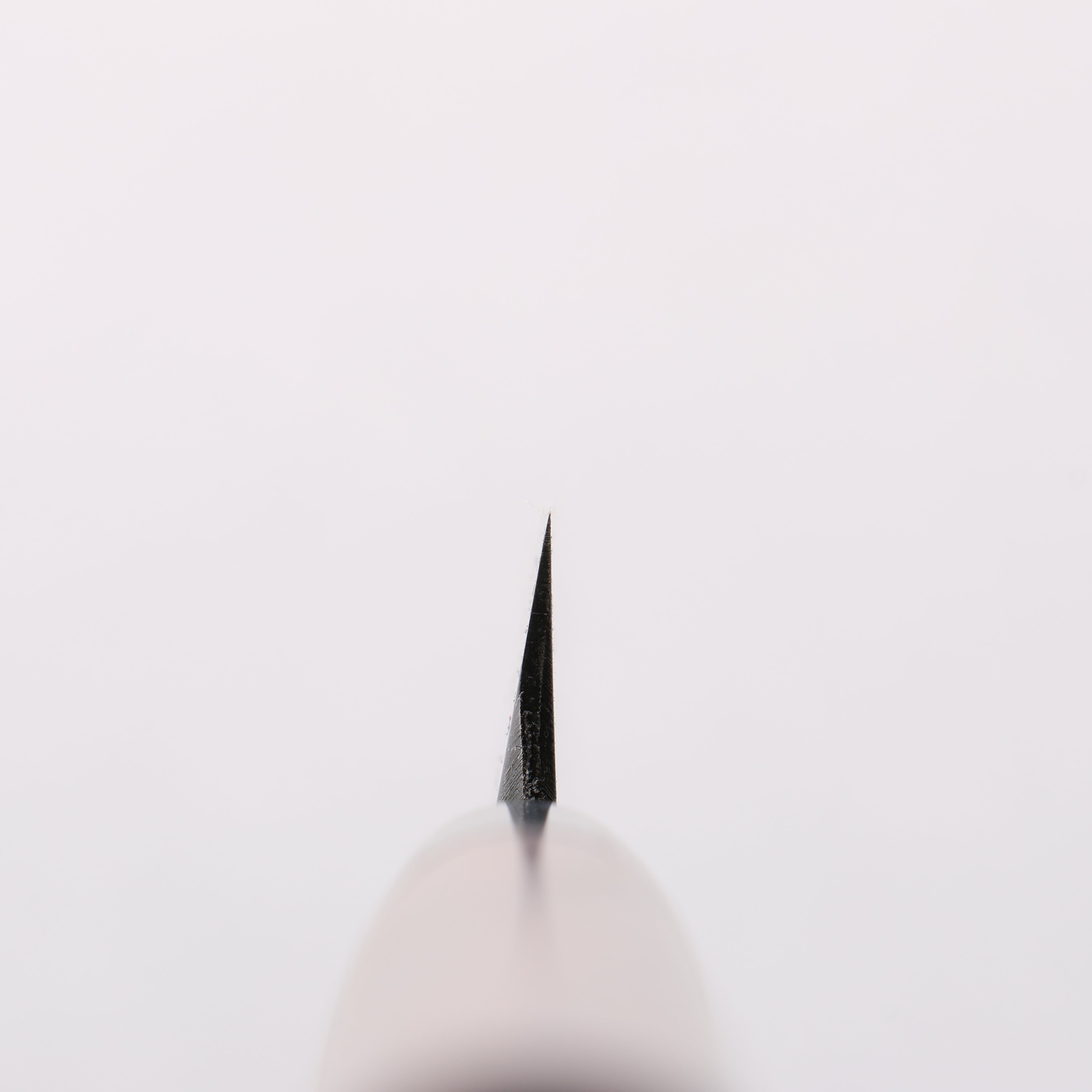 Seisuke Blue Steel Kasumitogi Yanagiba 240mm Rosewood Handle - Japanny - Best Japanese Knife