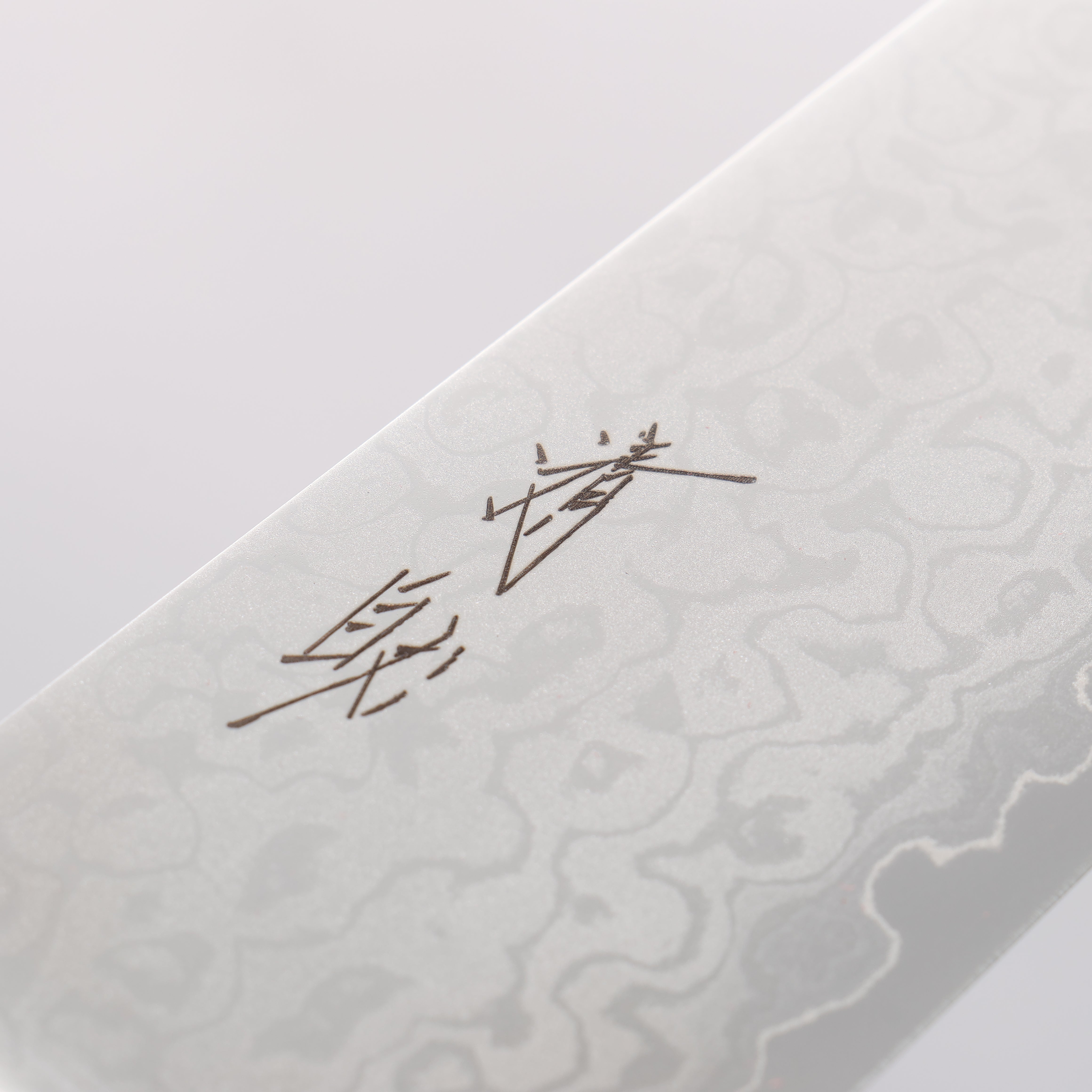 Seisuke VG10 8 Layer Damascus Migaki Finished Gyuto 210mm Black Pakka wood Handle - Japanny - Best Japanese Knife