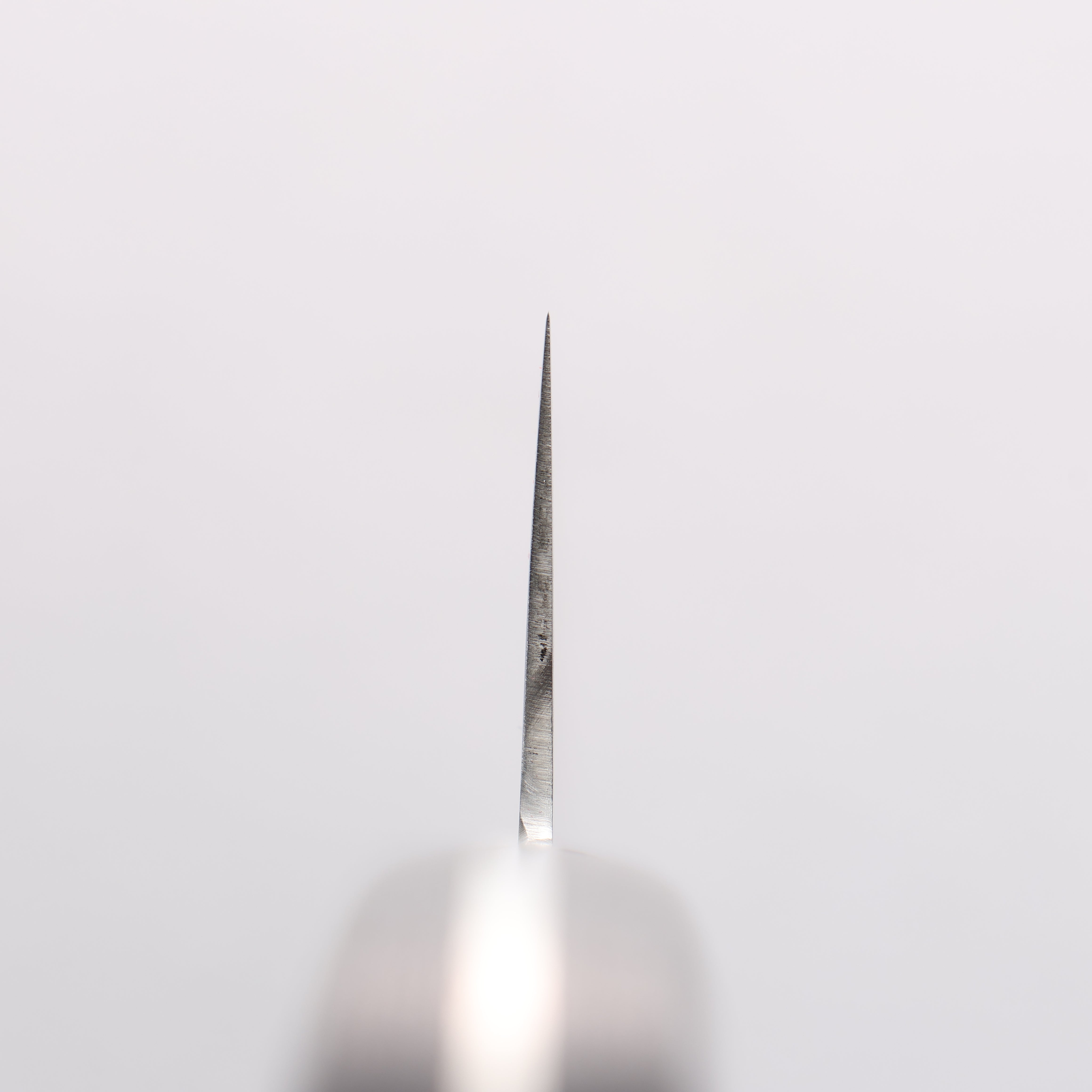 Seisuke VG10 8 Layer Damascus Migaki Finished Gyuto 210mm Black Pakka wood Handle - Japanny - Best Japanese Knife