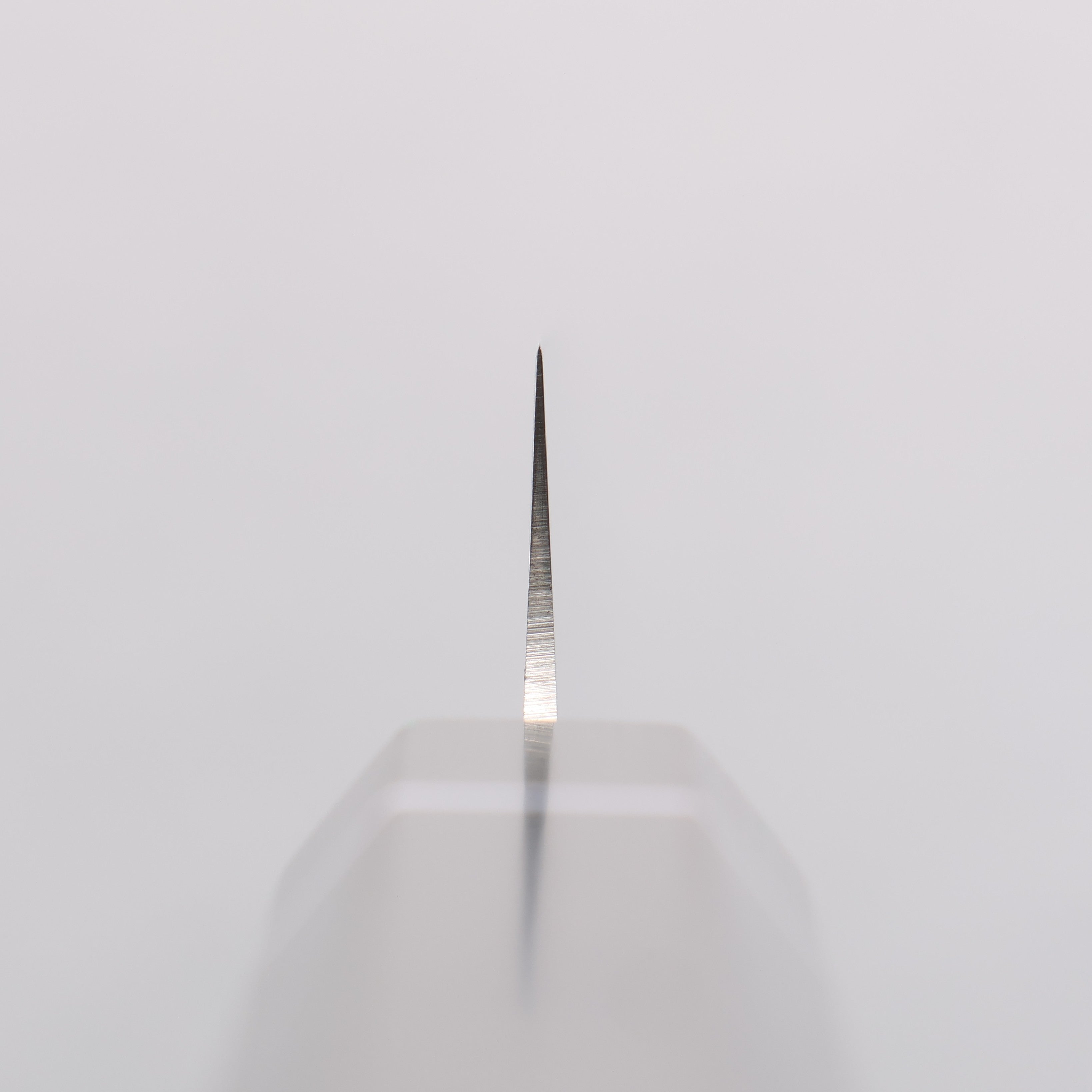 Seisuke Molybdenum Slicer 210mm Black Pakka wood Handle - Japanny - Best Japanese Knife