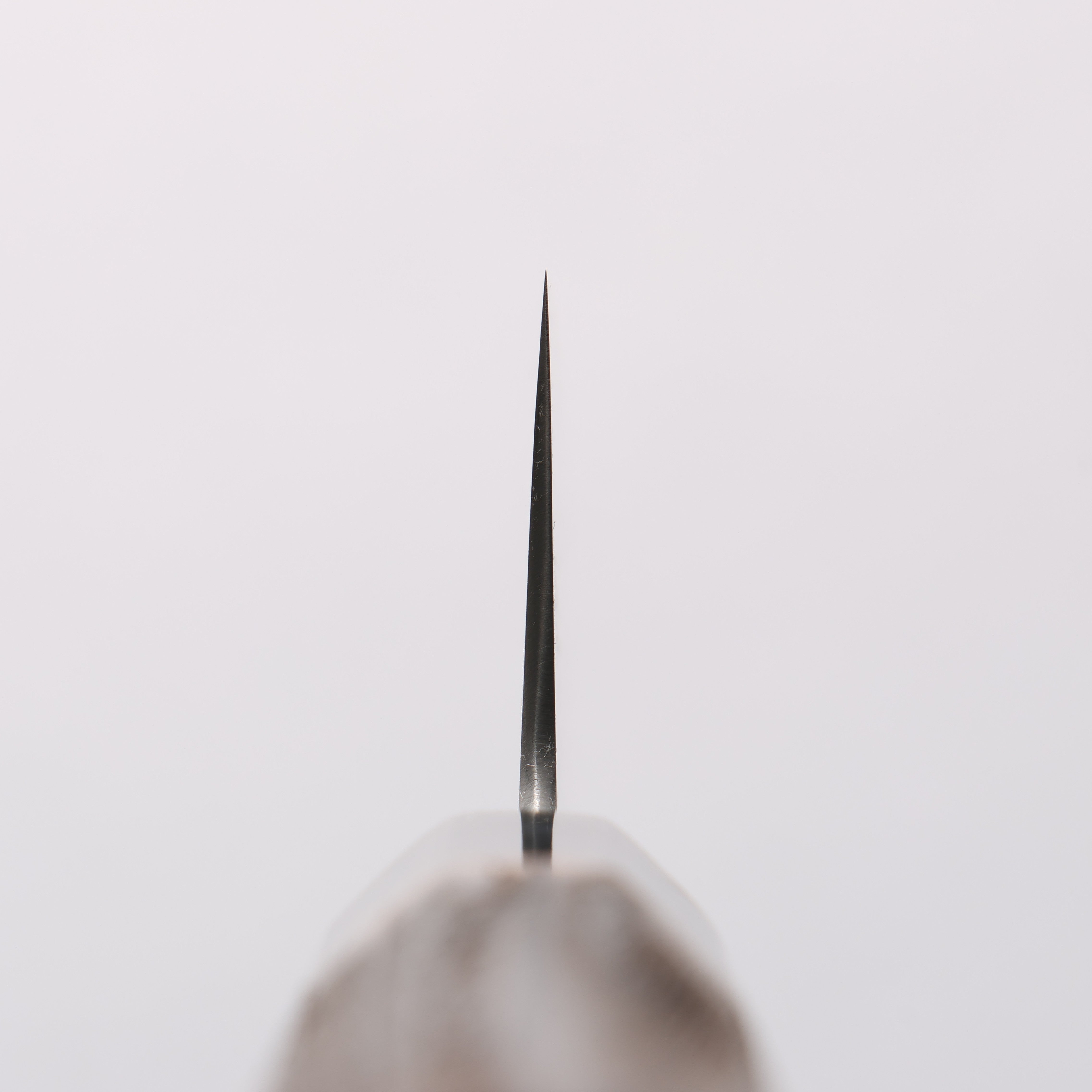 Seisuke Swedish Steel-stn Gyuto 210mm Burnt Chestnut Handle - Japanny - Best Japanese Knife