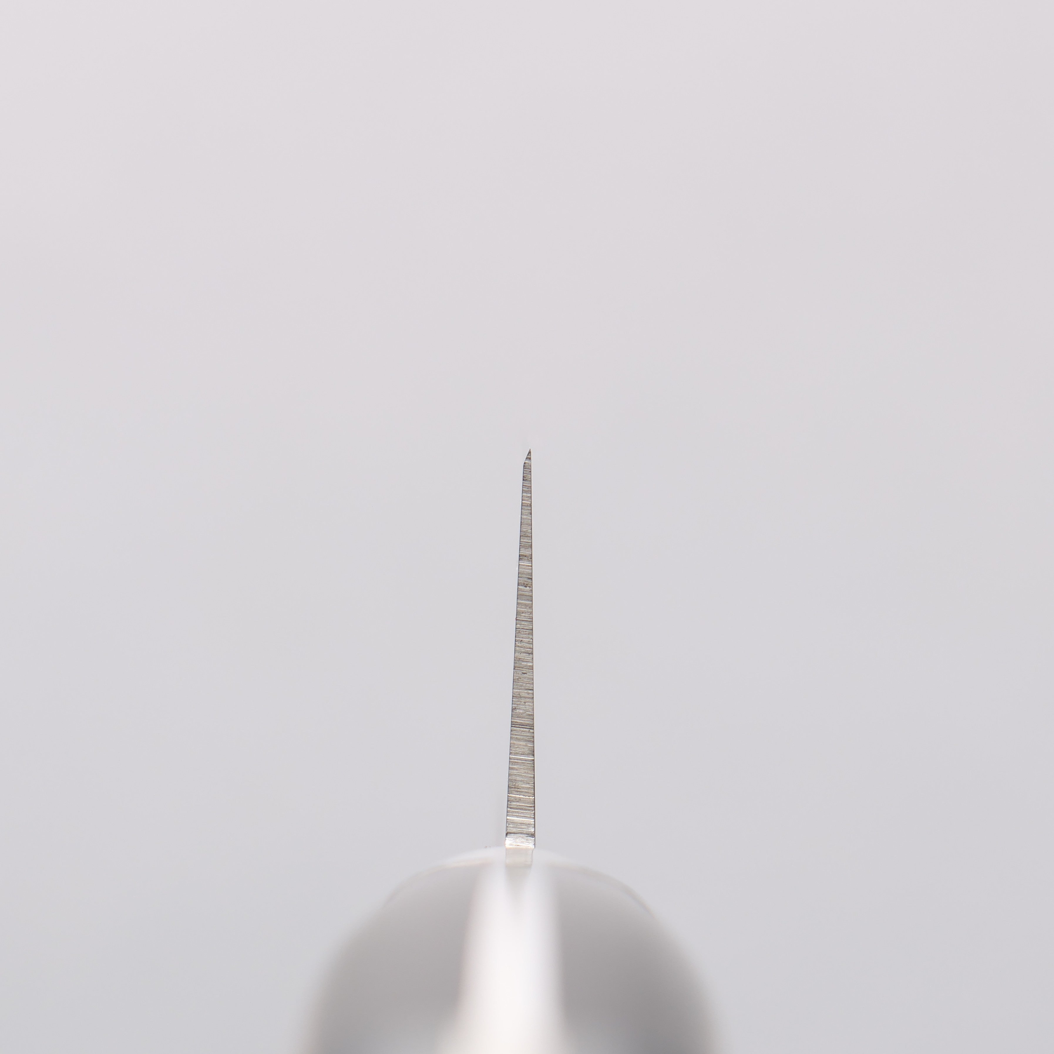 Sakai Takayuki TUS Steel Petty-Utility 150mm - Japanny - Best Japanese Knife