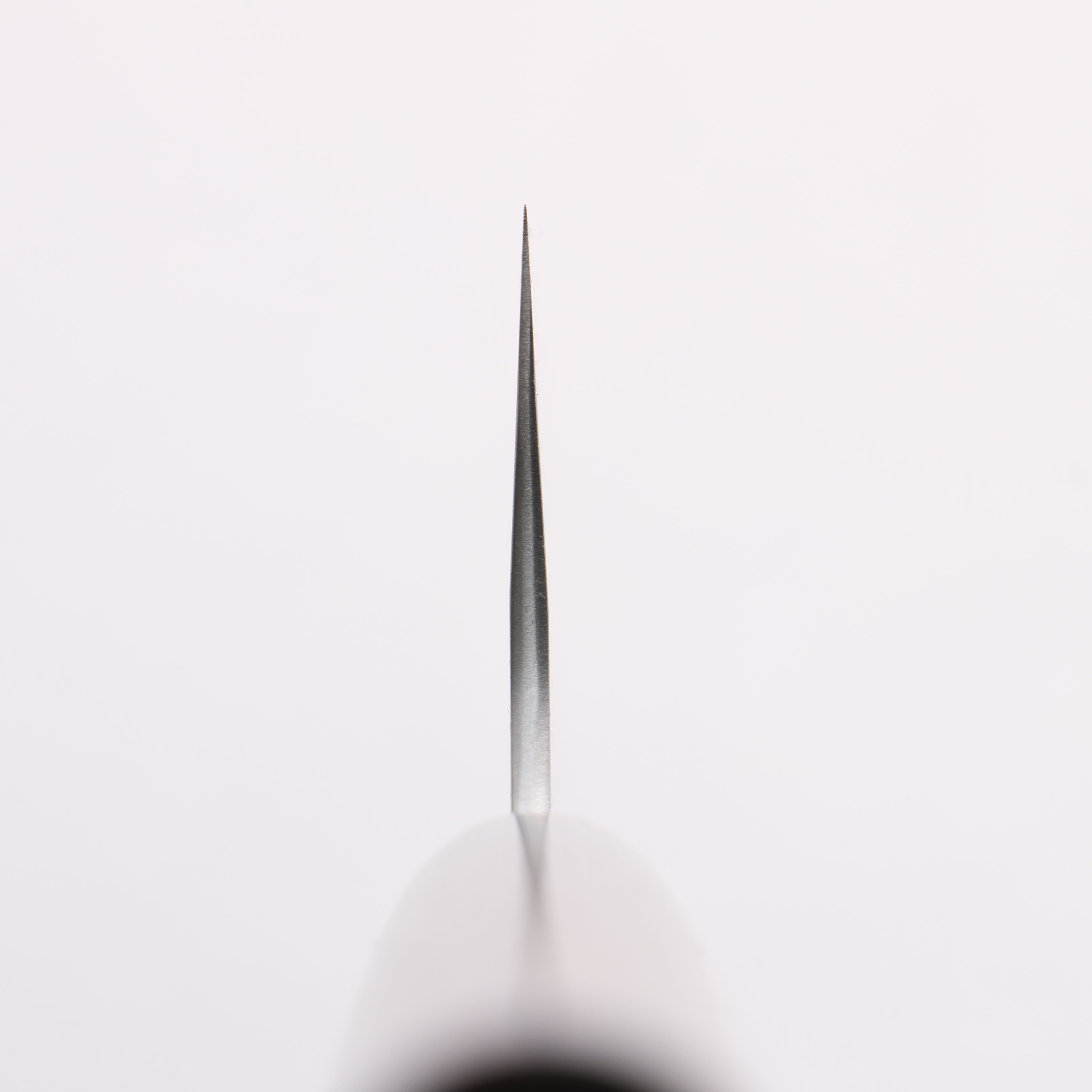 Shungo Ogata SG2 Togidashi Gyuto 210mm Rosewood Handle - Japanny - Best Japanese Knife