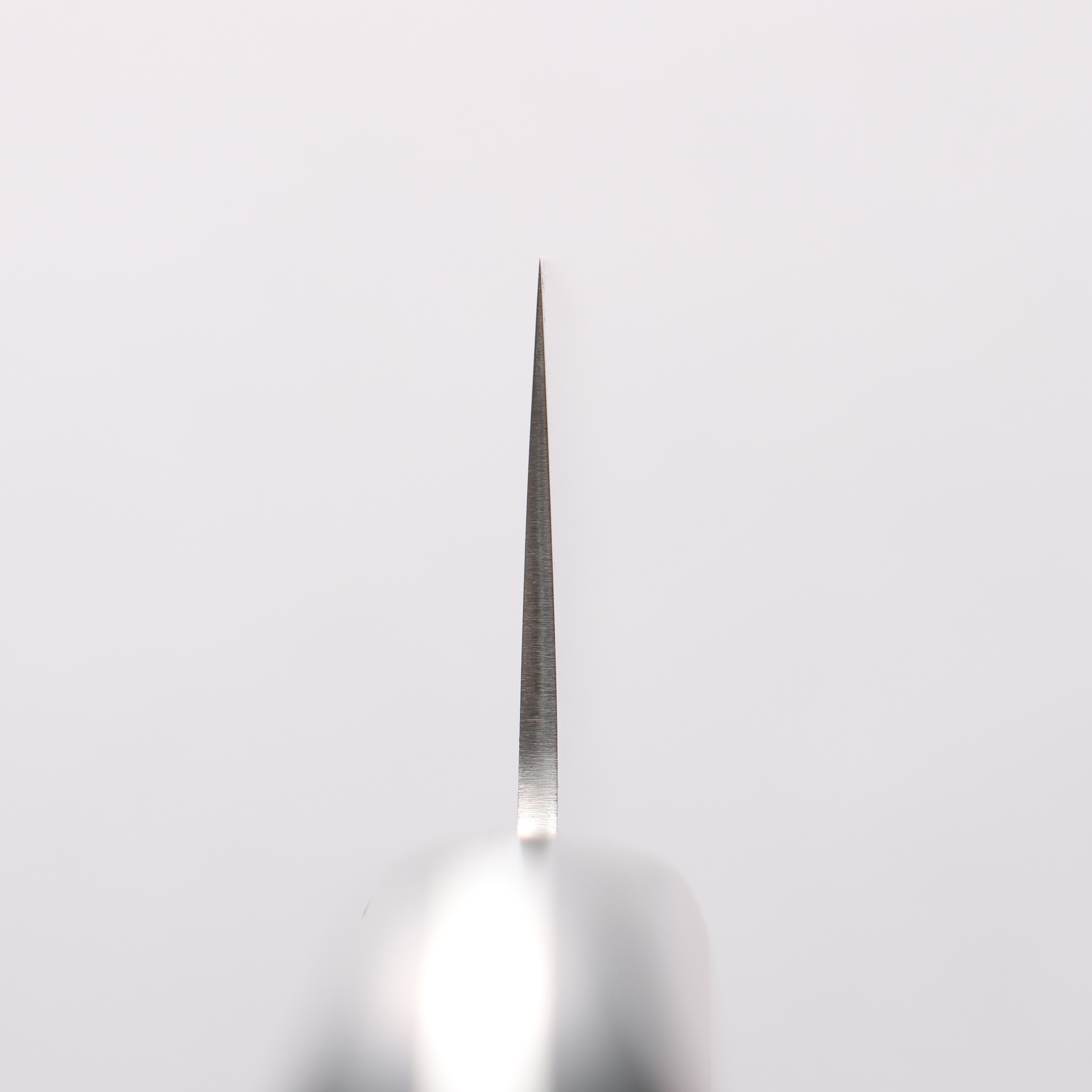 Seisuke SLD Migaki Polish Finish Gyuto 210mm Red Pakka wood Handle - Japanny - Best Japanese Knife