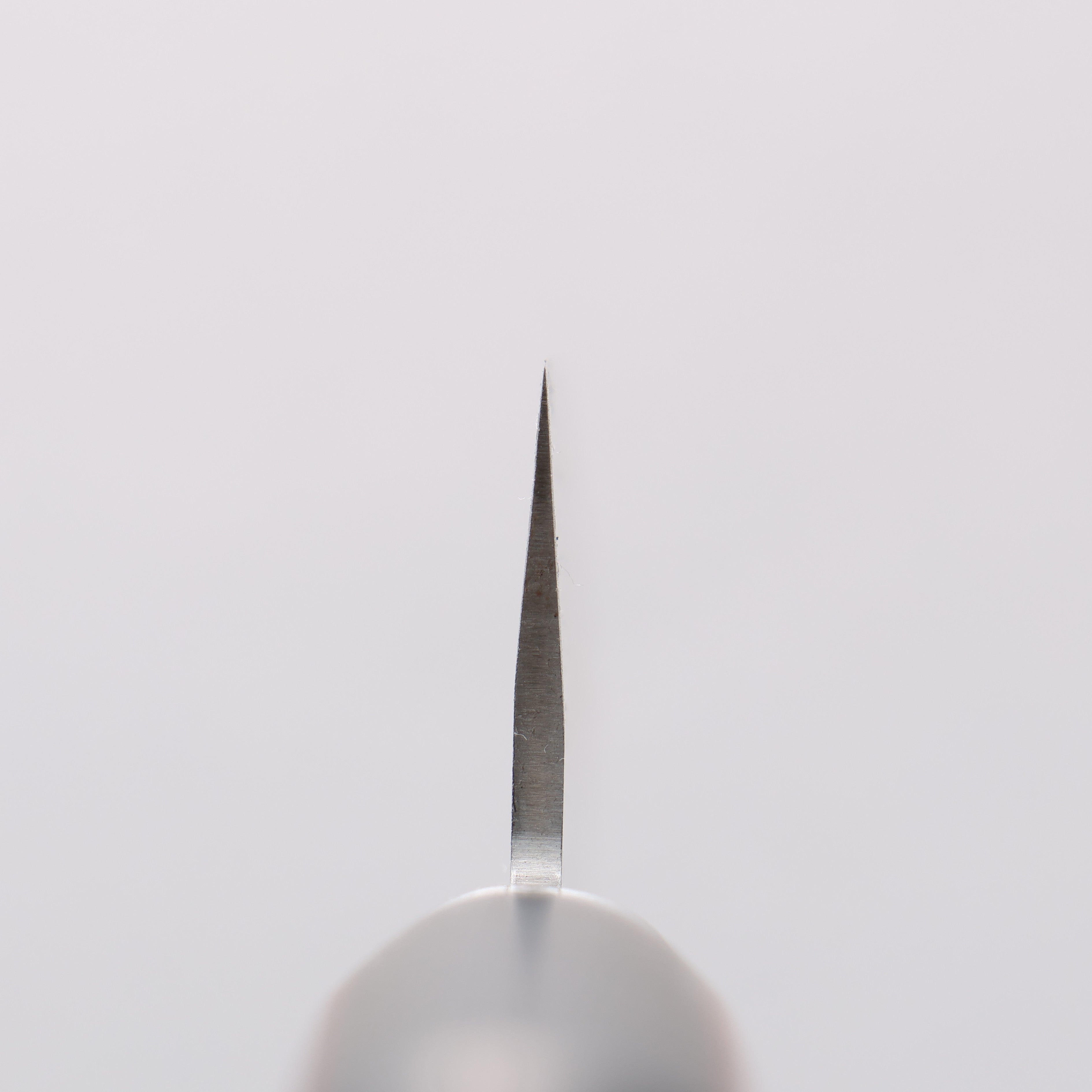 Seisuke Blue Super Migaki Finished Small Santoku 140mm Red and Black Pakka wood Handle - Japanny - Best Japanese Knife