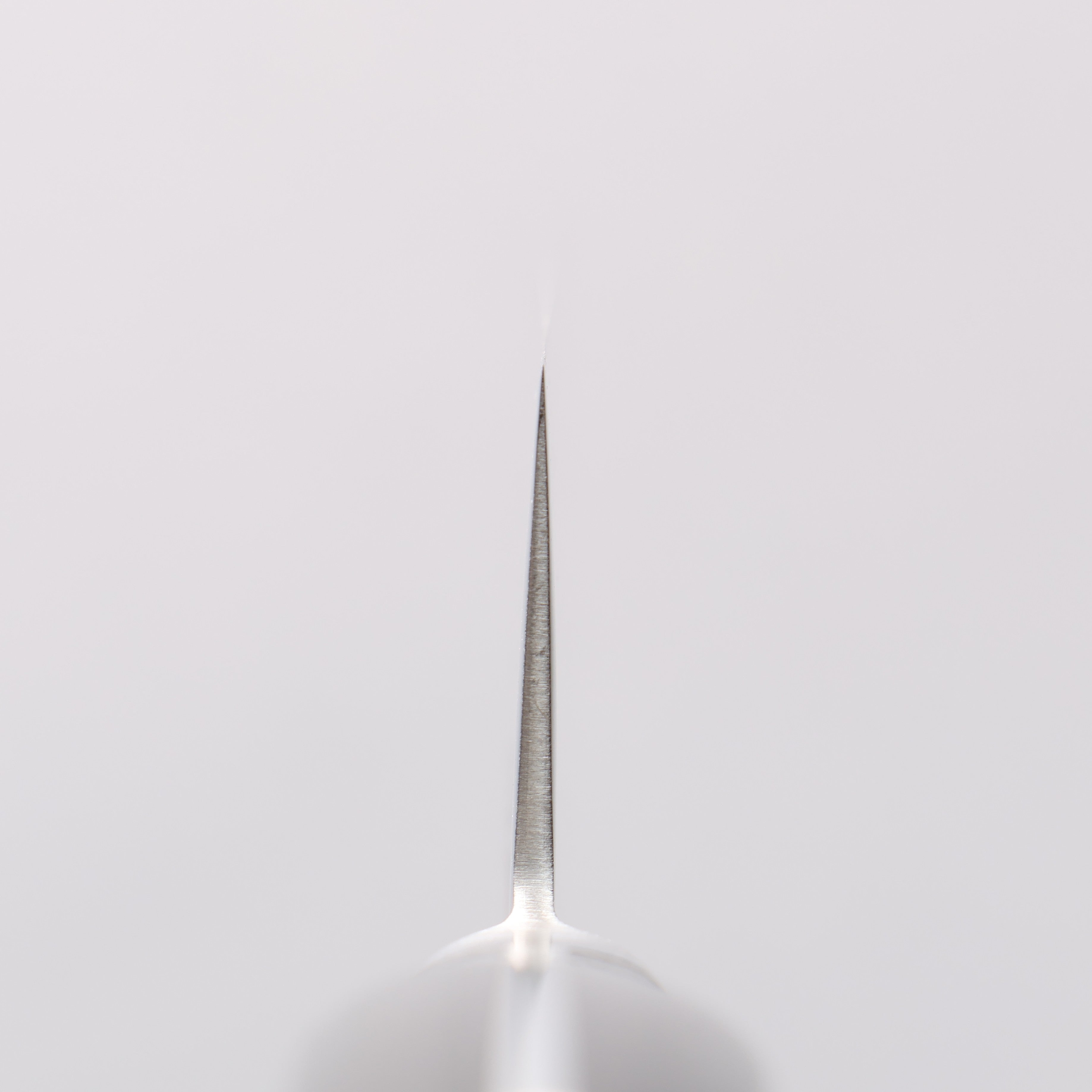 Seisuke VG10 33 Layer Mirrored Finish Damascus Sujihiki 240mm Black Pakka wood Handle - Japanny - Best Japanese Knife