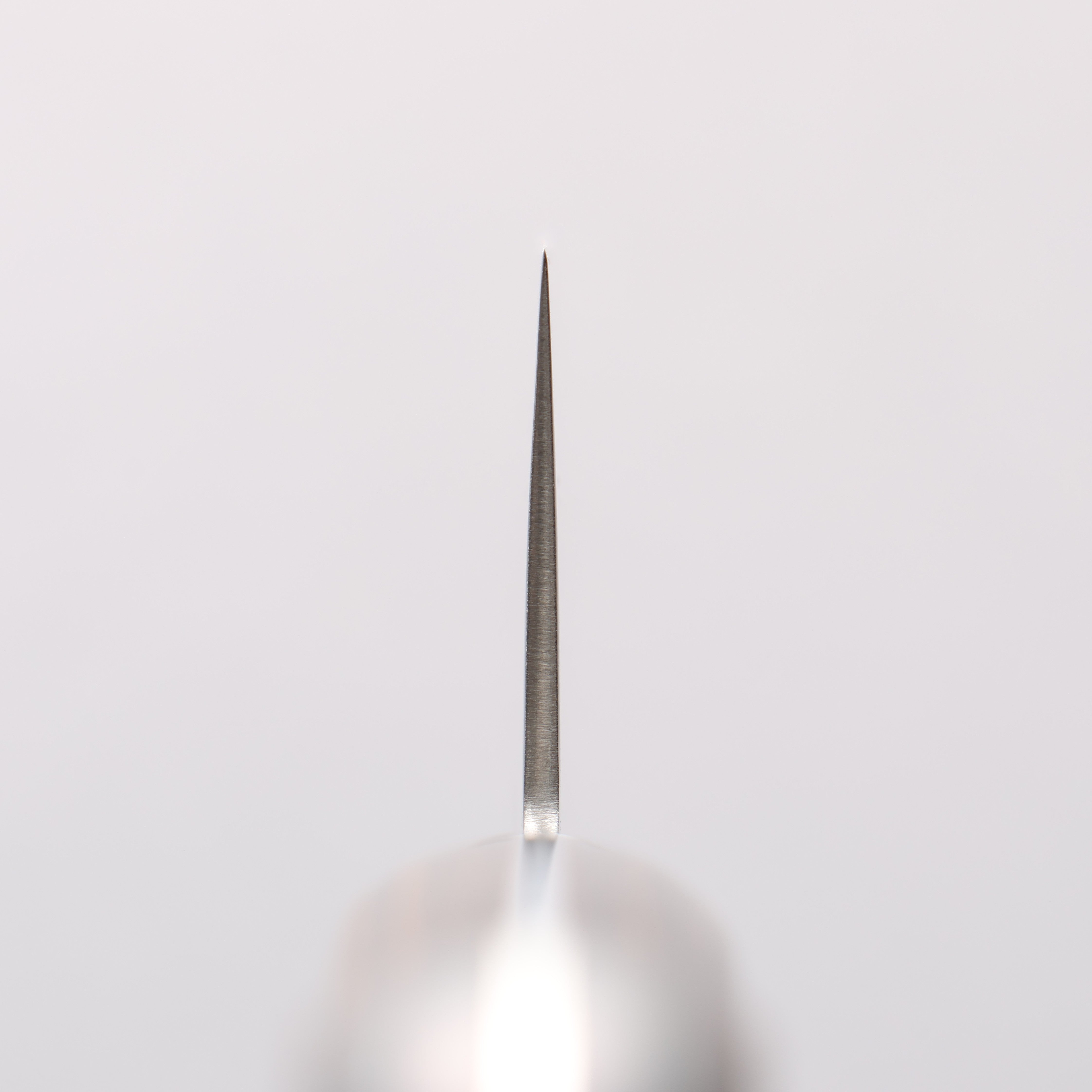 Seisuke Nami AUS10 Mirrored Finish Damascus Gyuto 240mm Brown Pakka wood Handle - Japanny - Best Japanese Knife