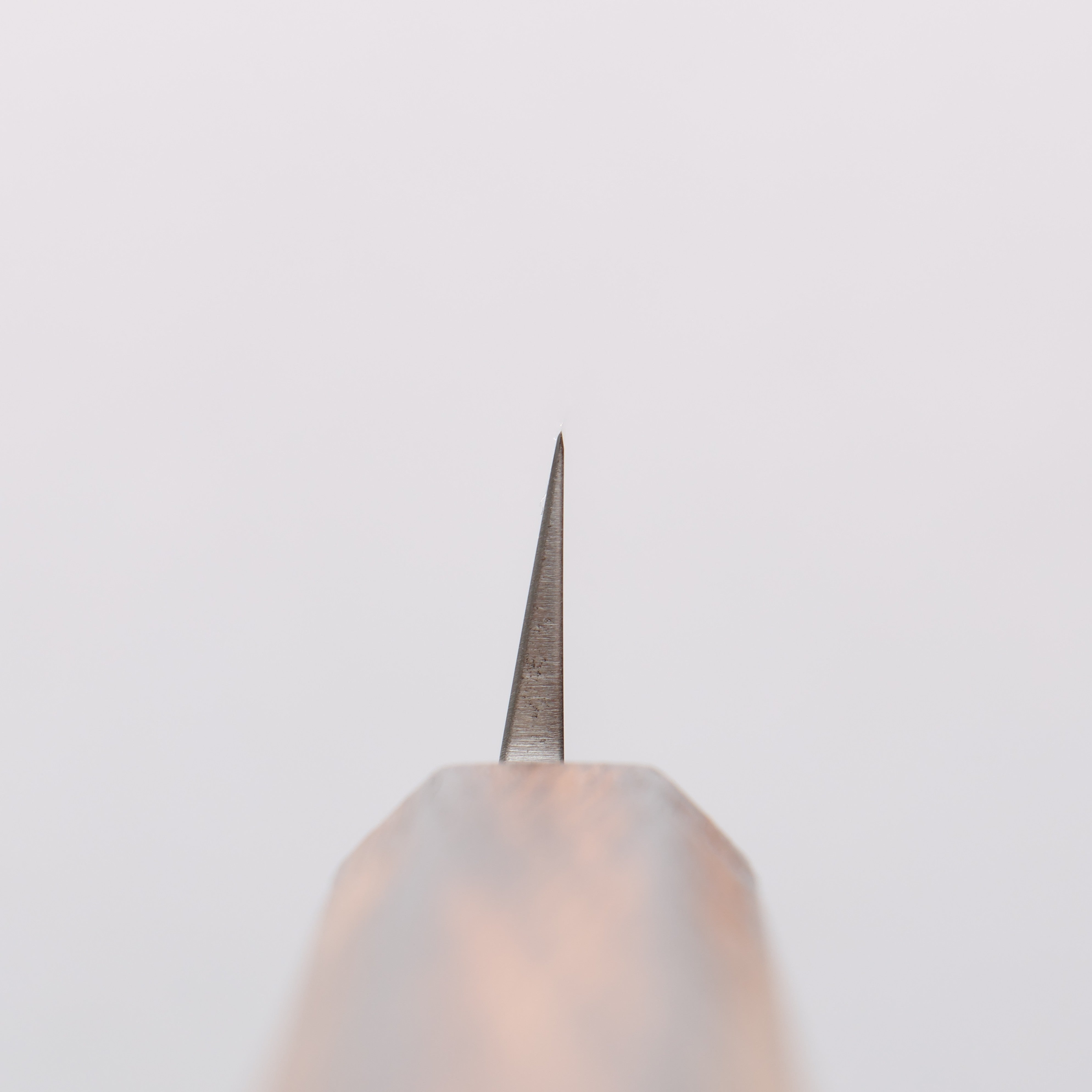 Seisuke AUS8 Yanagiba 210mm Oak Handle - Japanny - Best Japanese Knife