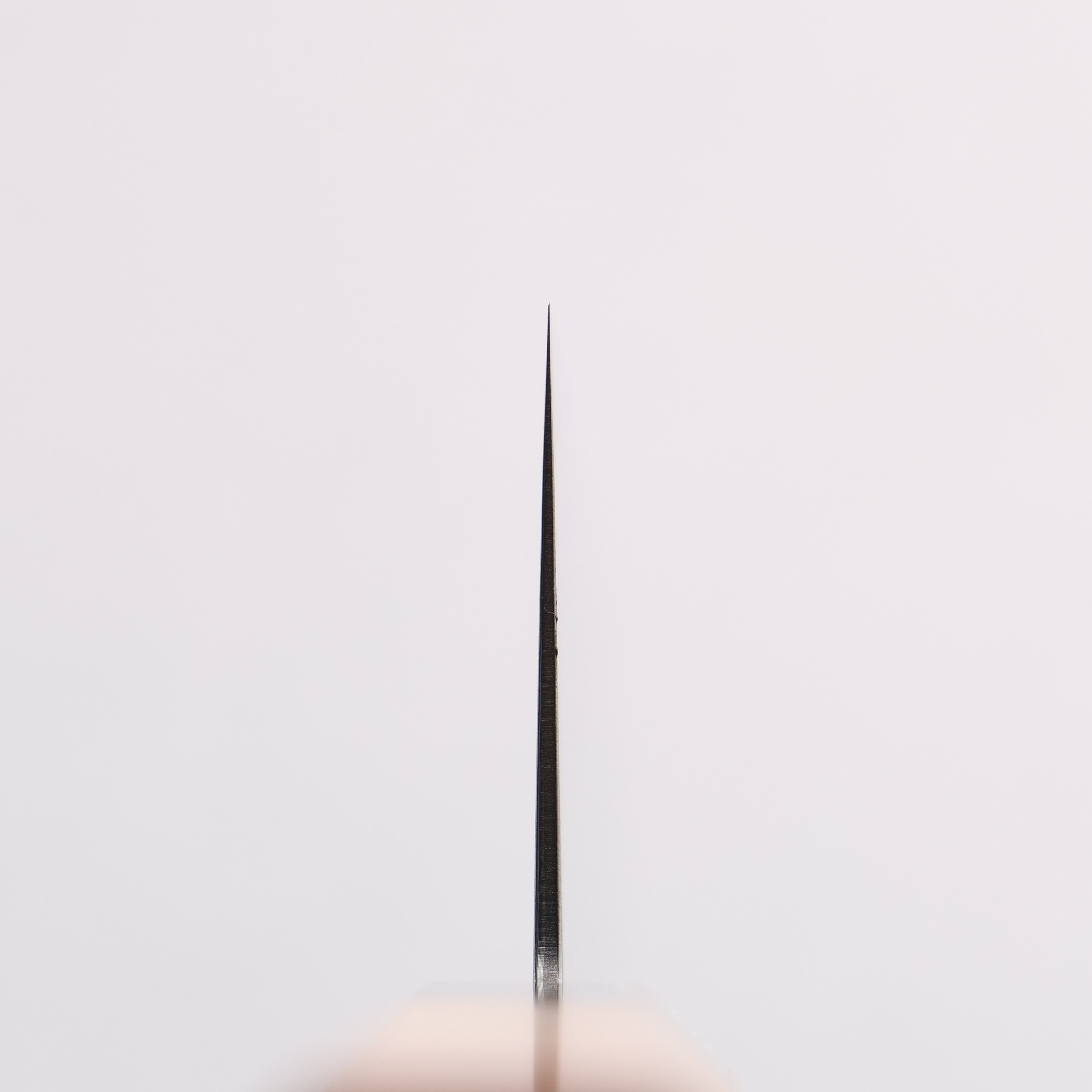 Seisuke VG10 Damascus Migaki Finished Gyuto 240mm Keyaki (Japanese Elm) Handle - Japanny - Best Japanese Knife