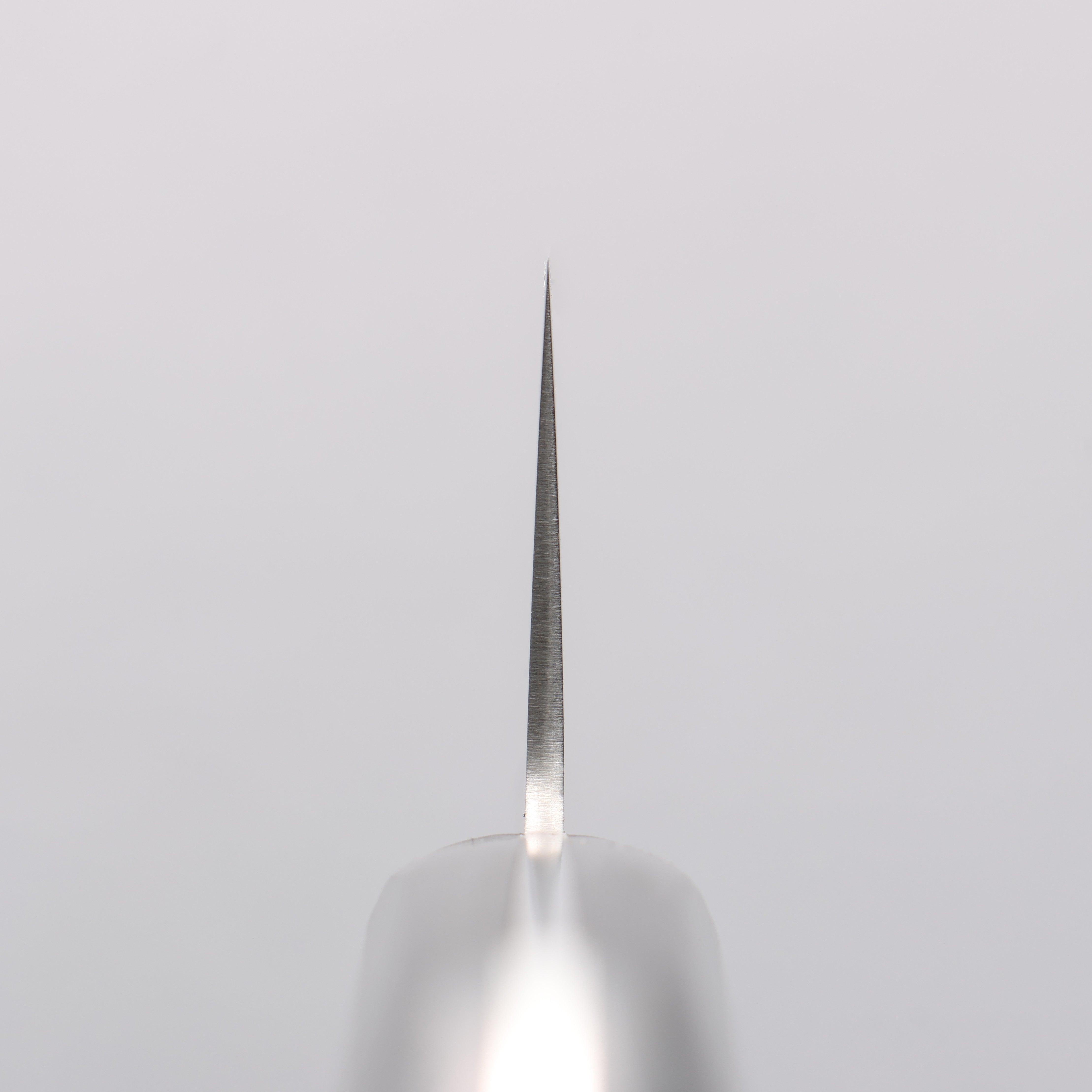 Seisuke SLD Migaki Polish Finish Gyuto 210mm Black Pakka wood Handle - Japanny - Best Japanese Knife