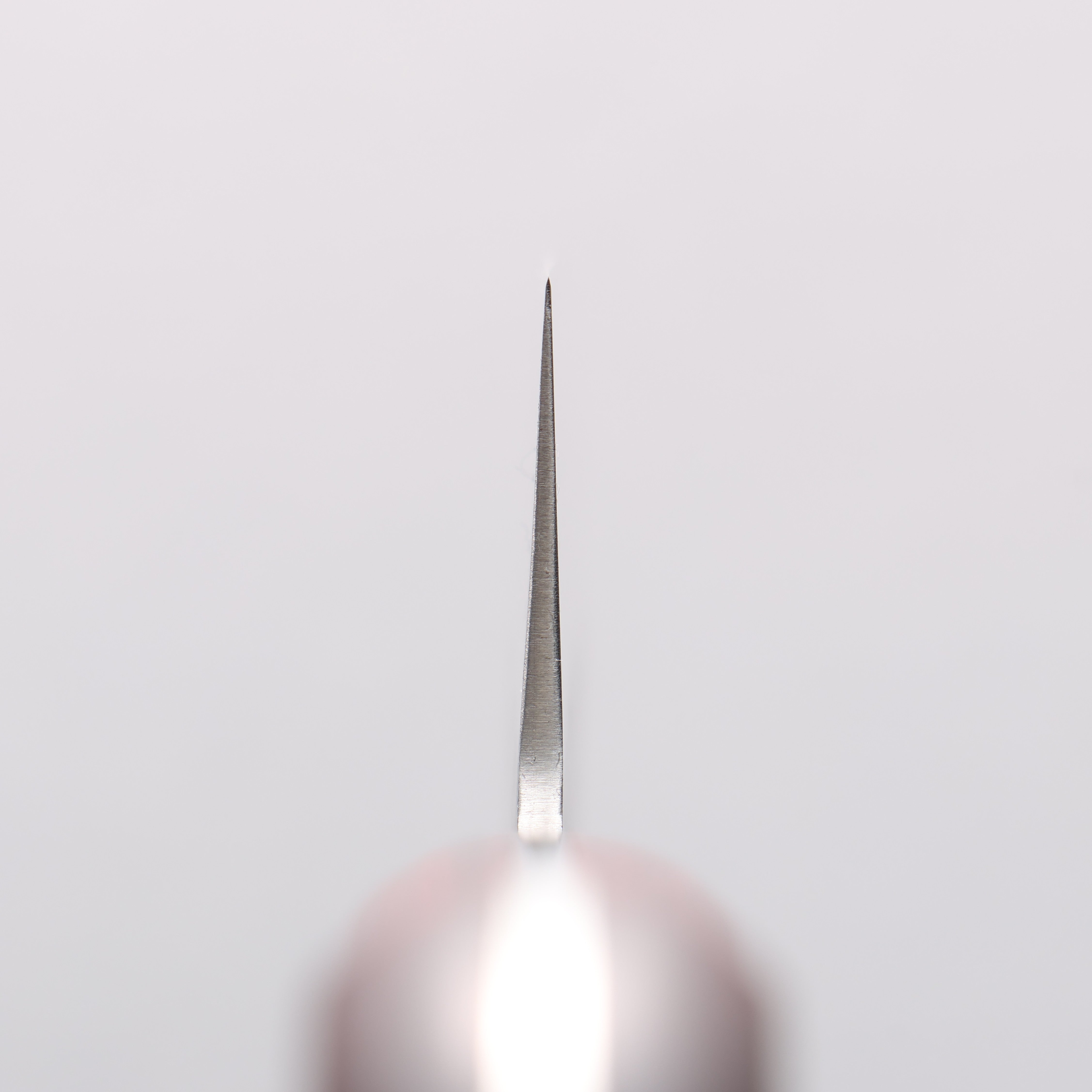 Seisuke Blue Super Hammered Kurouchi Kiritsuke Gyuto 210mm Red Pakka wood Handle - Japanny - Best Japanese Knife