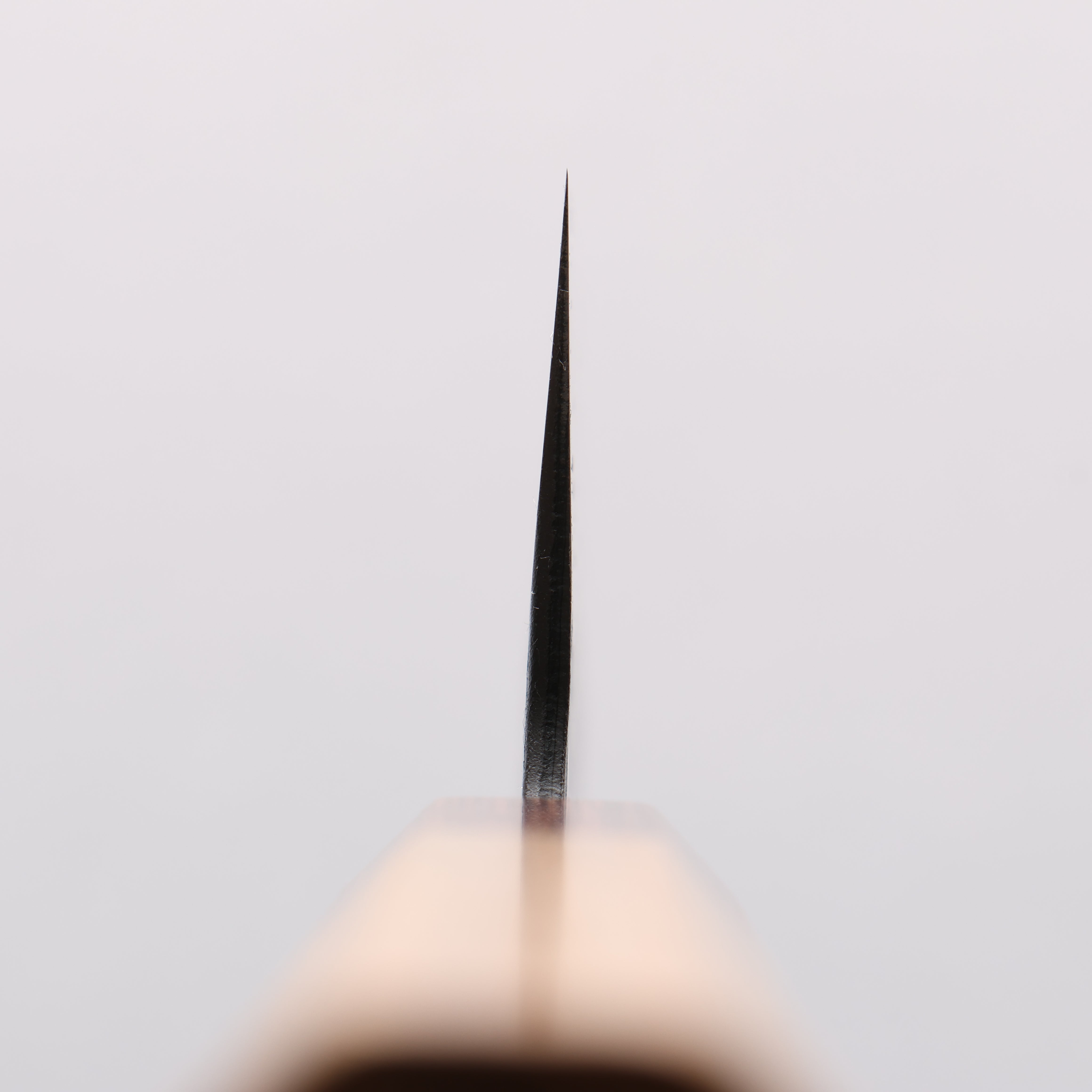 Sakai Takayuki Blue Super Hammered Black Finished Santoku 165mm Keyaki (Japanese Elm) Handle - Japanny - Best Japanese Knife