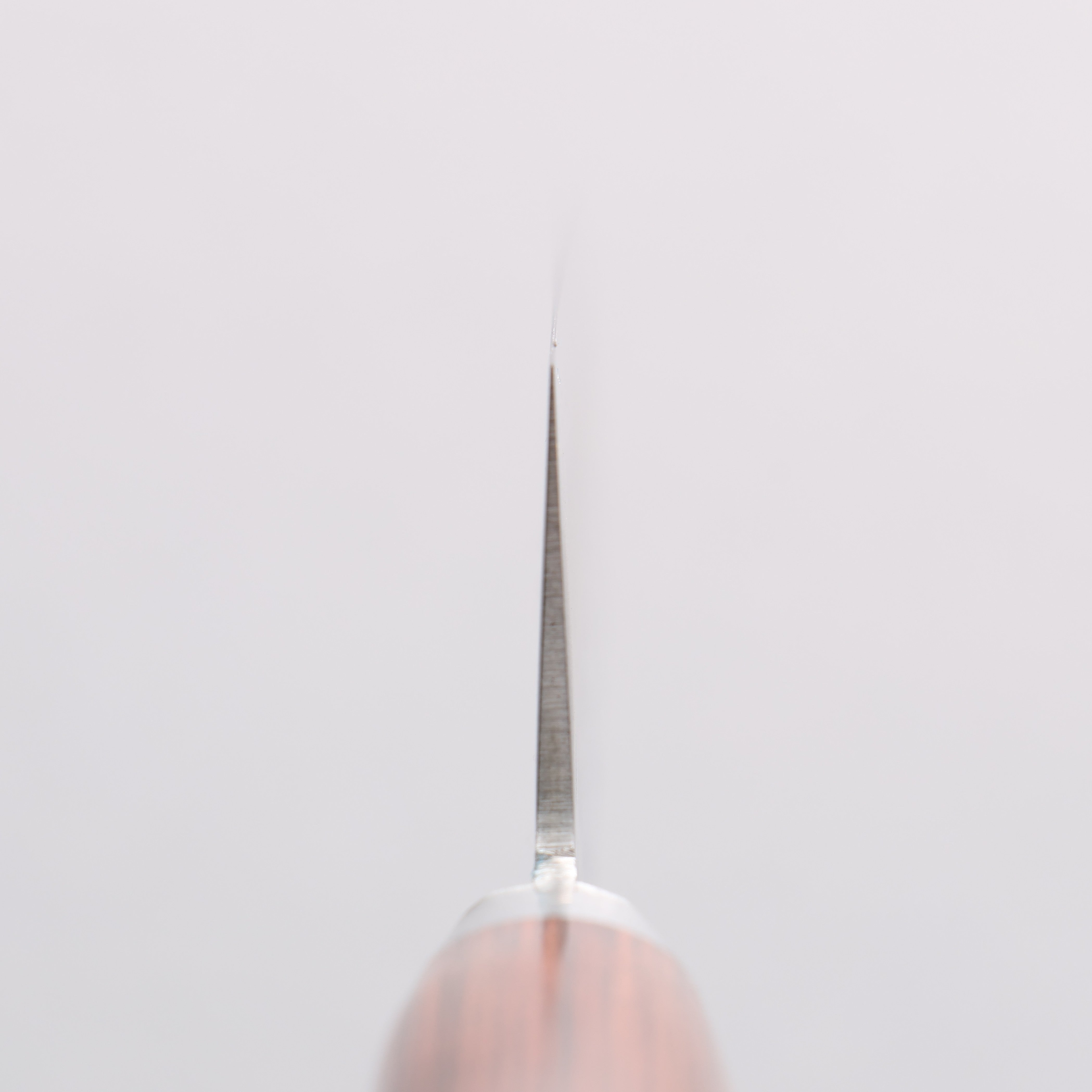 Seisuke VG10 Hammered Gyuto 180mm Mahogany Handle - Japanny - Best Japanese Knife