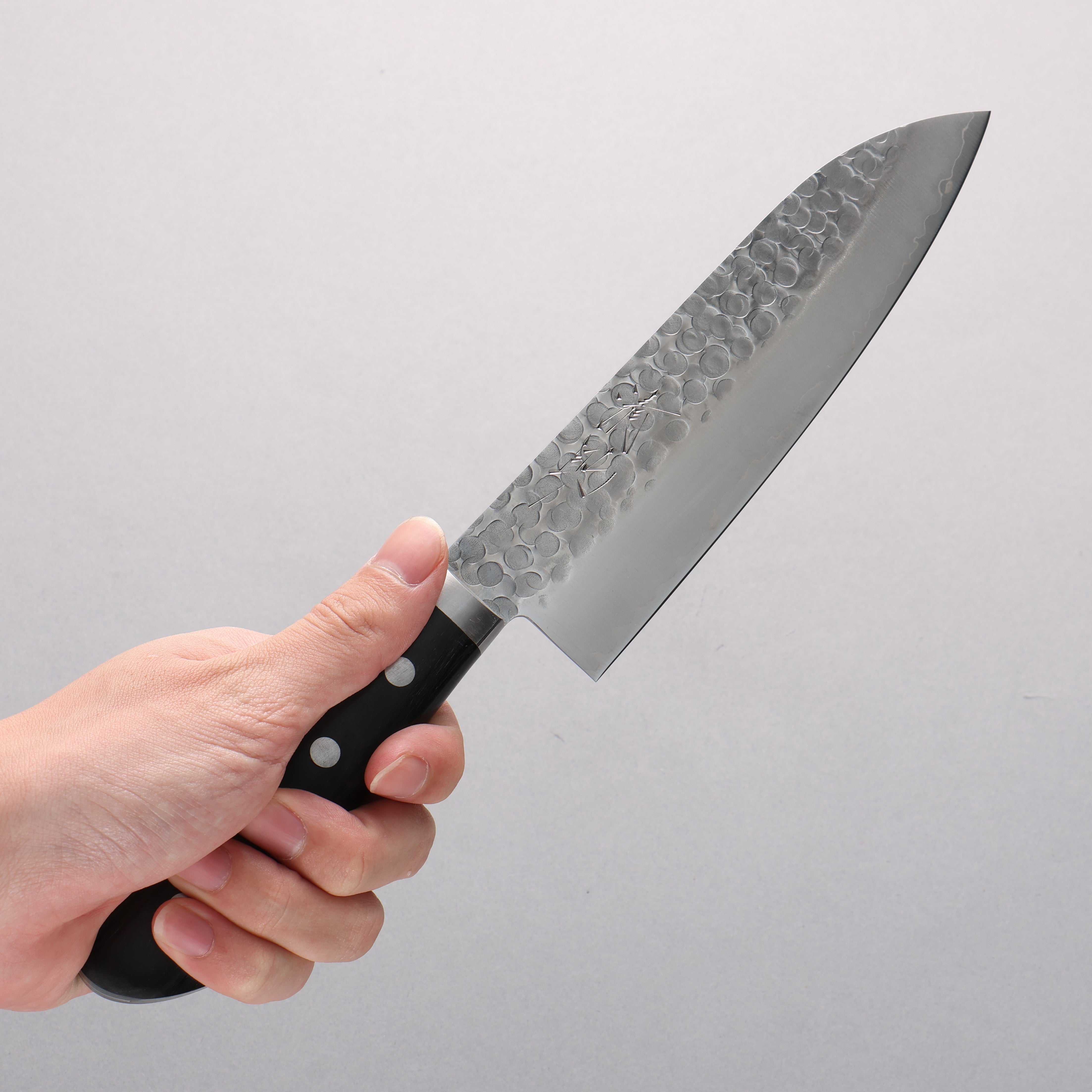 Seisuke VG1 Japanese Santoku & Petty Pakka wood Handle - Japanny - Best Japanese Knife