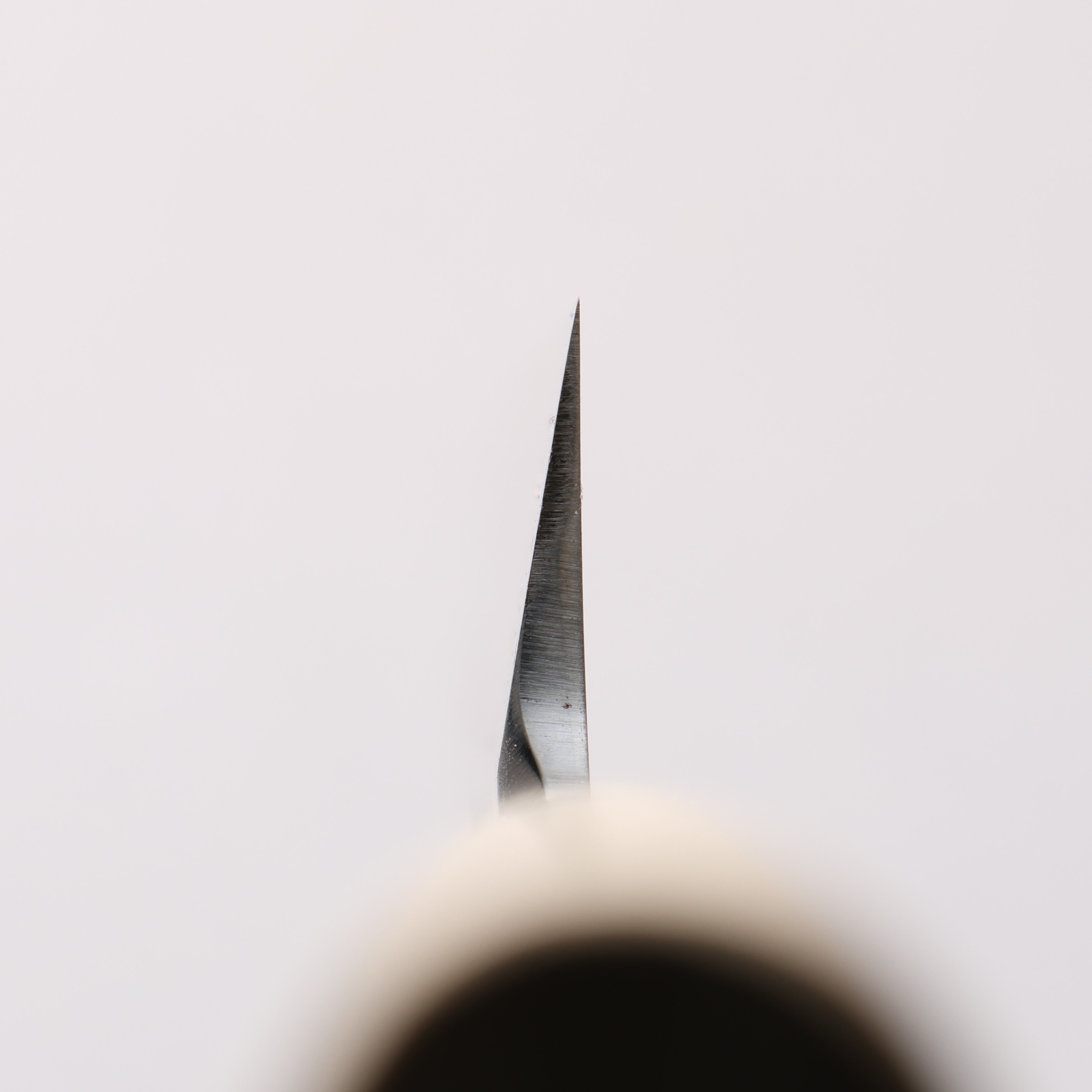 Sakai Takayuki Tokujyo White Steel No.2 Kiritsuke 240mm Magnolia Handle - Japanny - Best Japanese Knife