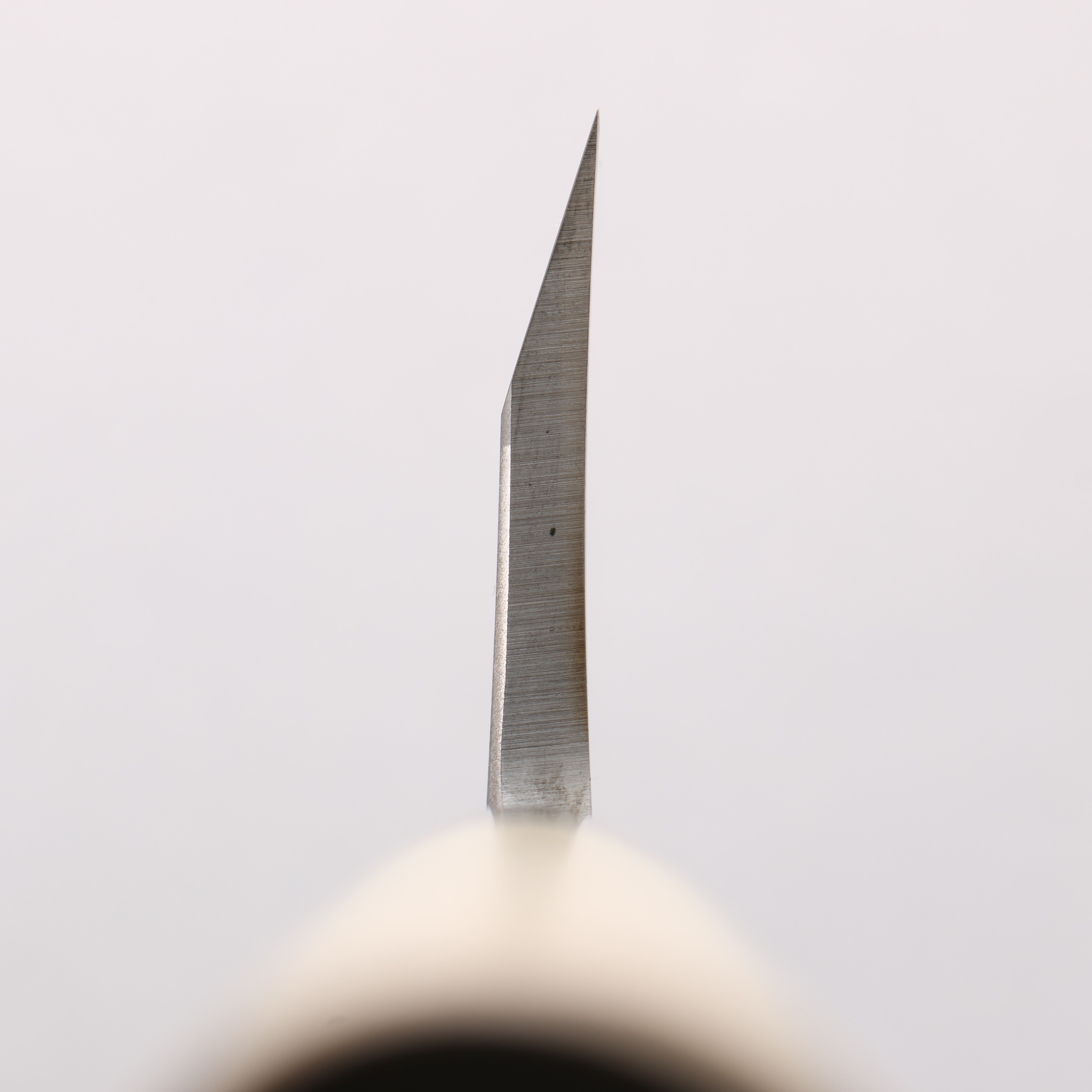 Sakai Takayuki INOX Molybdenum Deba Magnolia Handle - Japanny - Best Japanese Knife