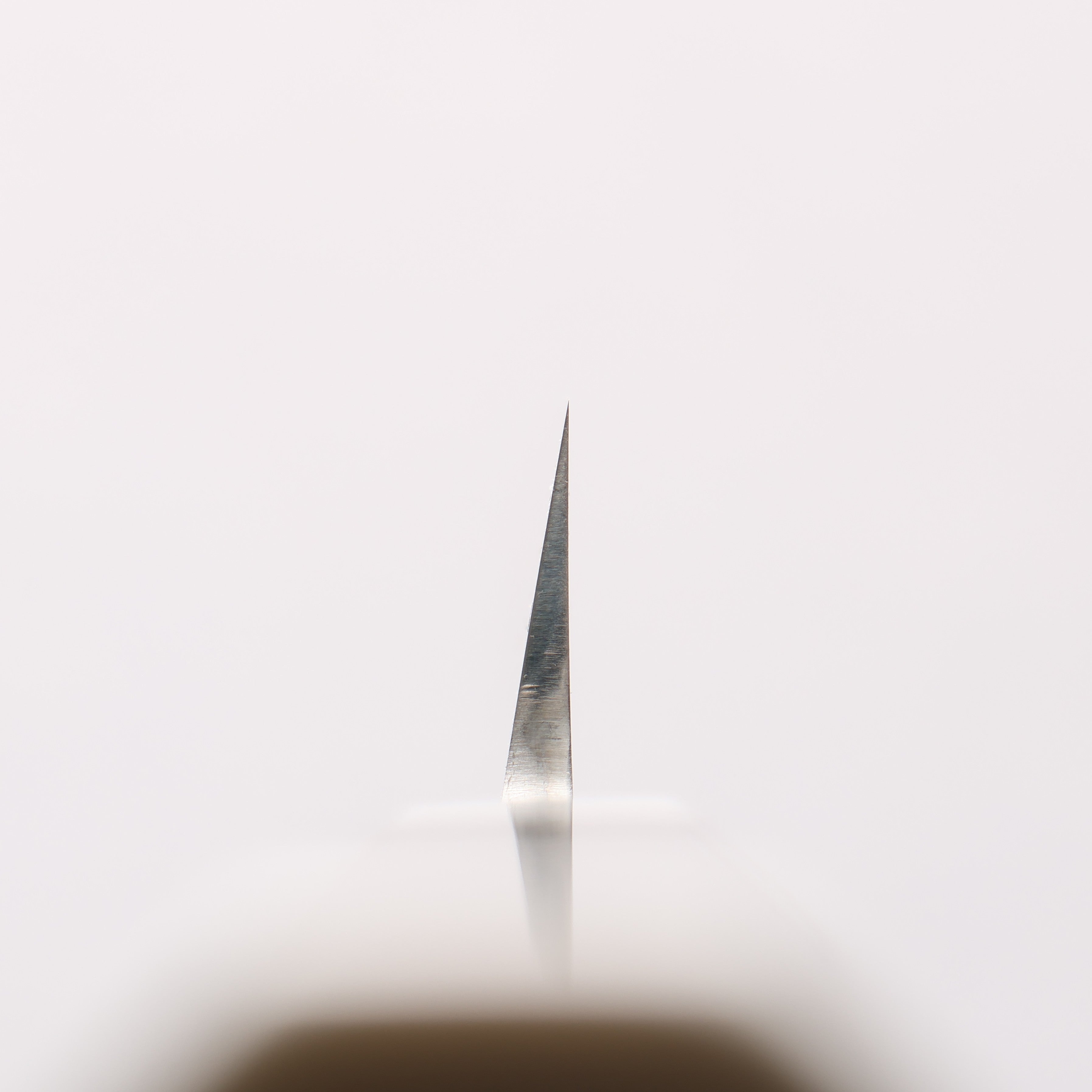 Sakai Takayuki Ginryu Honyaki Swedish Steel Mirrored Finish Yanagiba 270mm Ebony Wood Handle with Sheath - Japanny - Best Japanese Knife