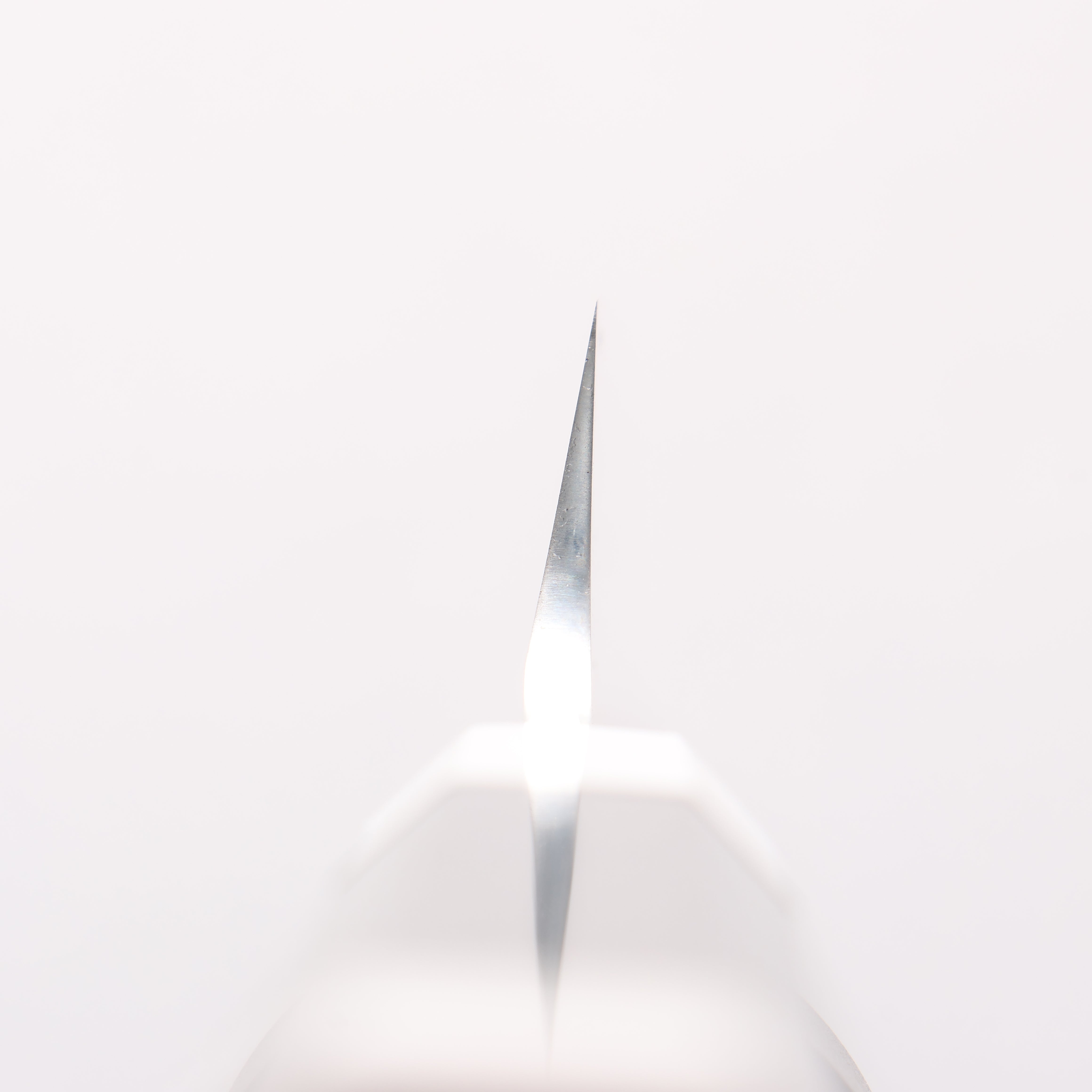 Sakai Takayuki Ginryu Honyaki Swedish Steel Mirrored Finish Sakimaru Yanagiba 300mm Ebony Wood Handle with Sheath - Japanny - Best Japanese Knife