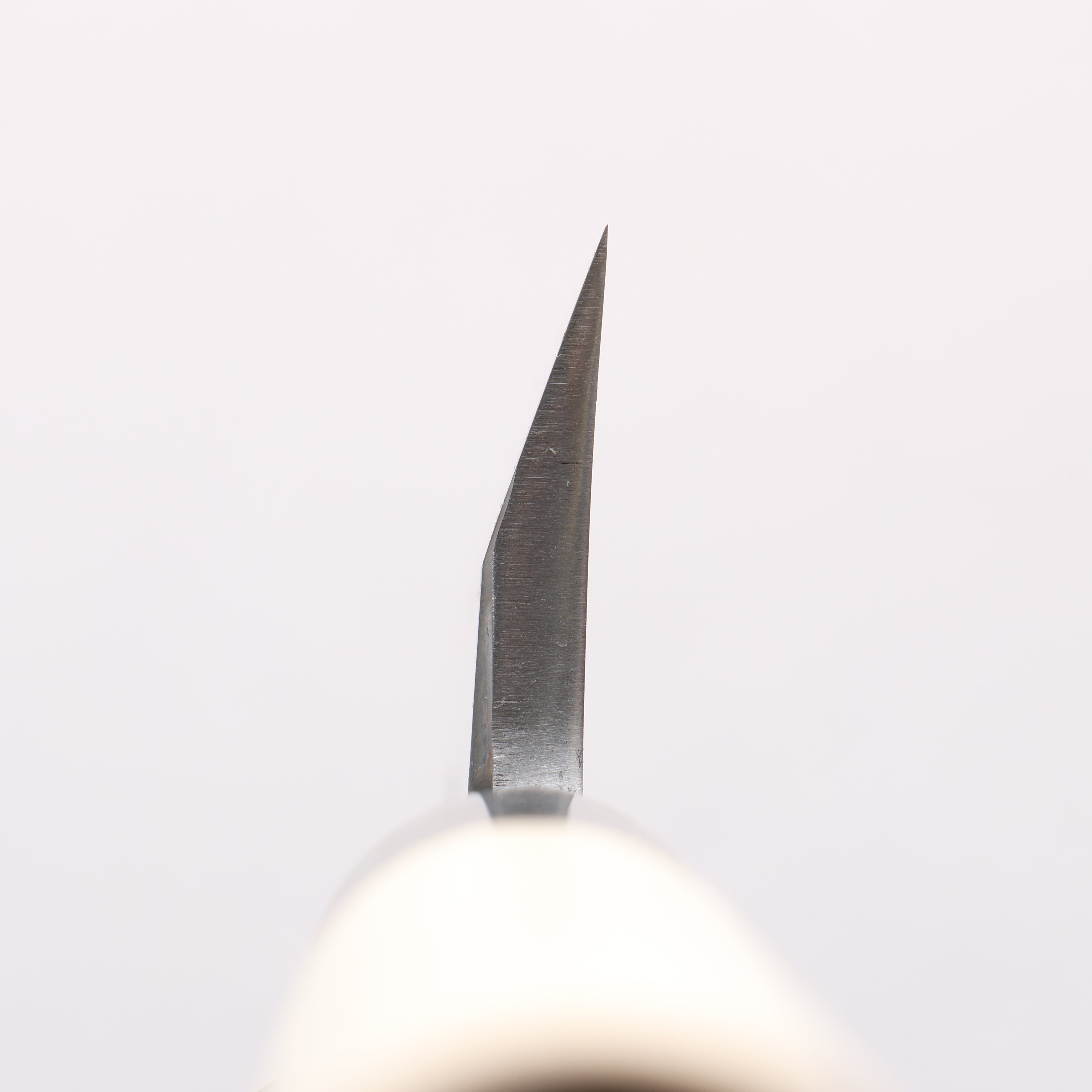 Sakai Takayuki Tokujyo White Steel No.2 Kiritsuke Deba 180mm Magnolia Handle - Japanny - Best Japanese Knife