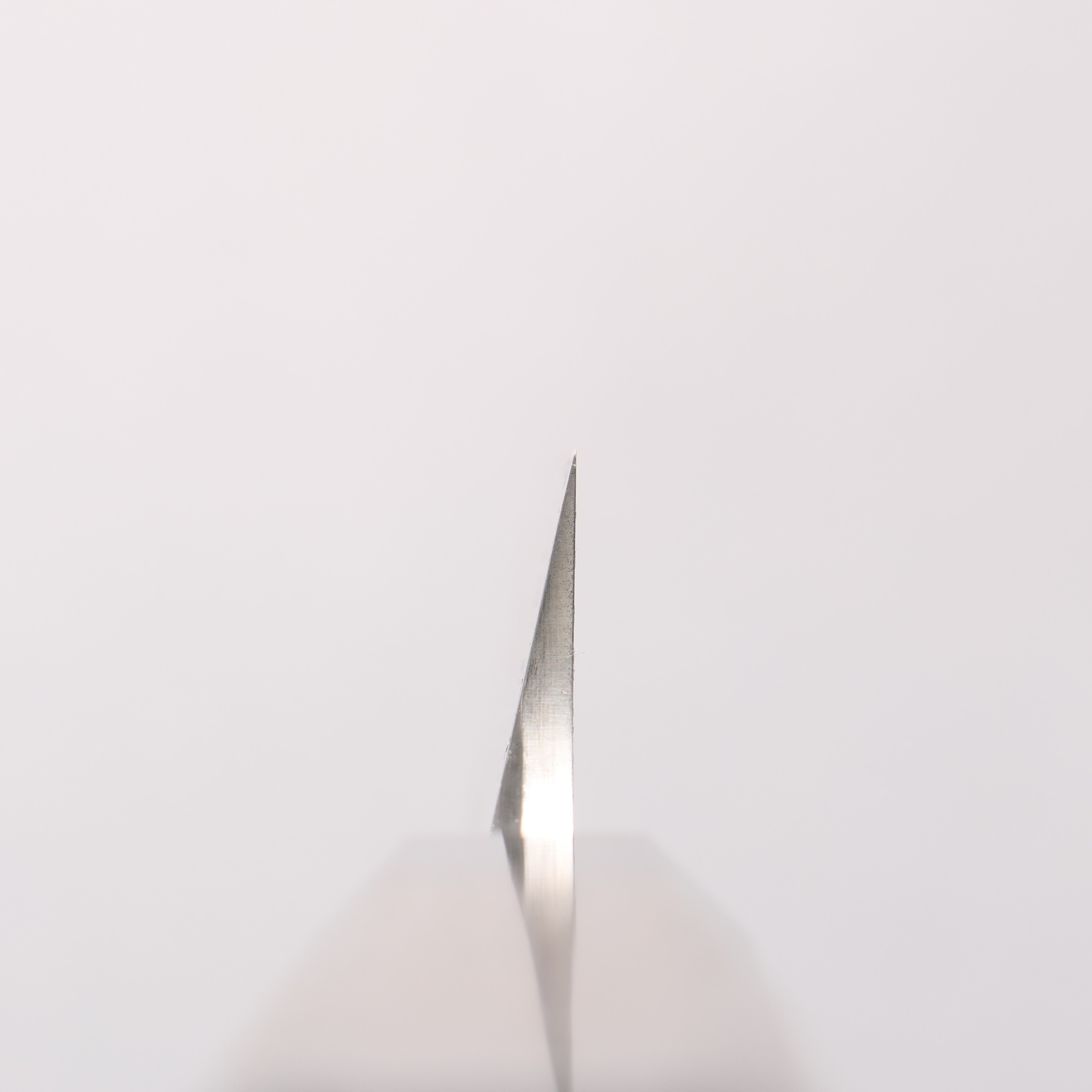 Sakai Takayuki Hien Silver Steel No.3 Yanagiba Wenge with Double Water Buffalo Ring Handle with Sheath - Japanny - Best Japanese Knife