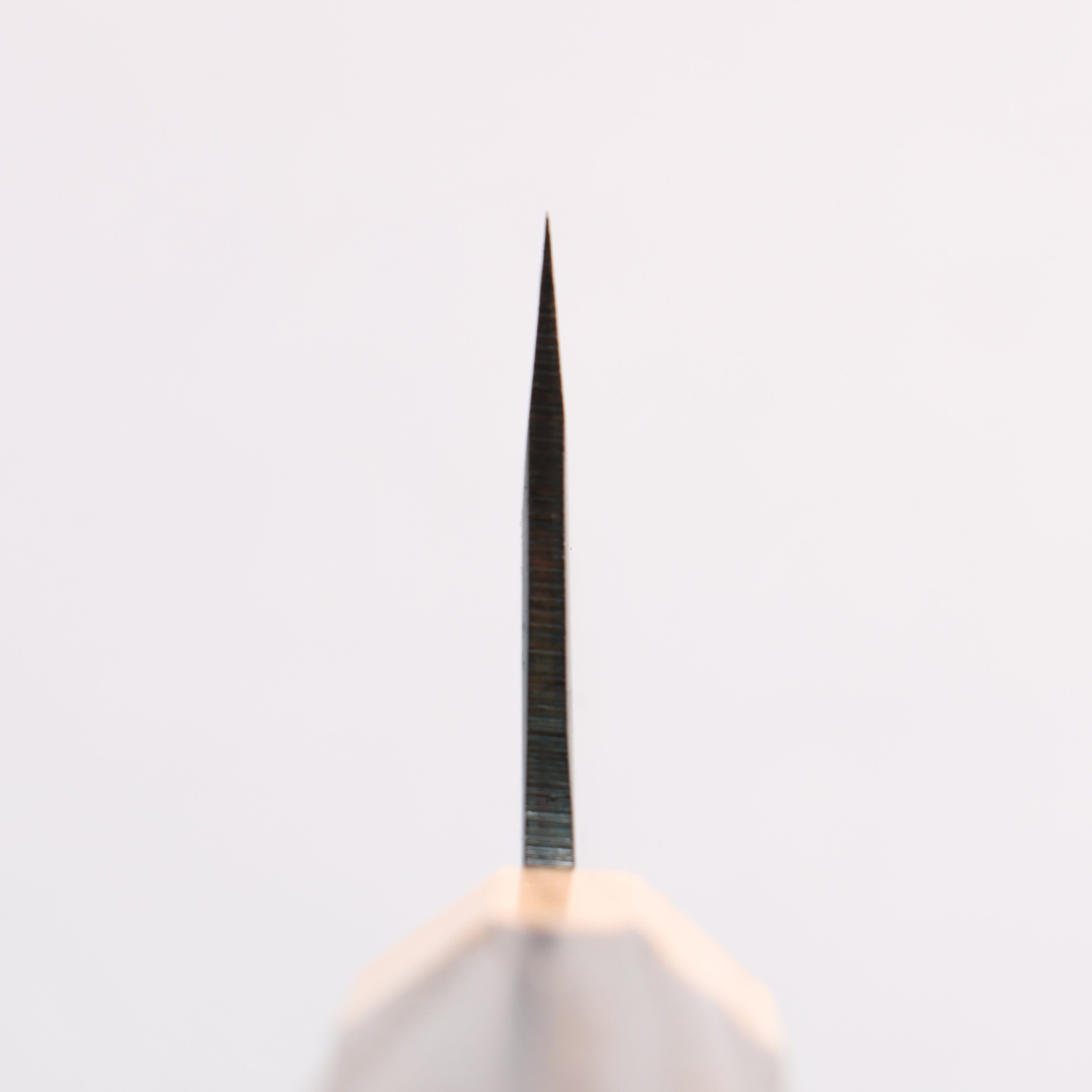 Seisuke Blue Super Black Finished Bunka 180mm Burnt Chestnut (ferrule: Cherry Wood) Handle - Japanny - Best Japanese Knife