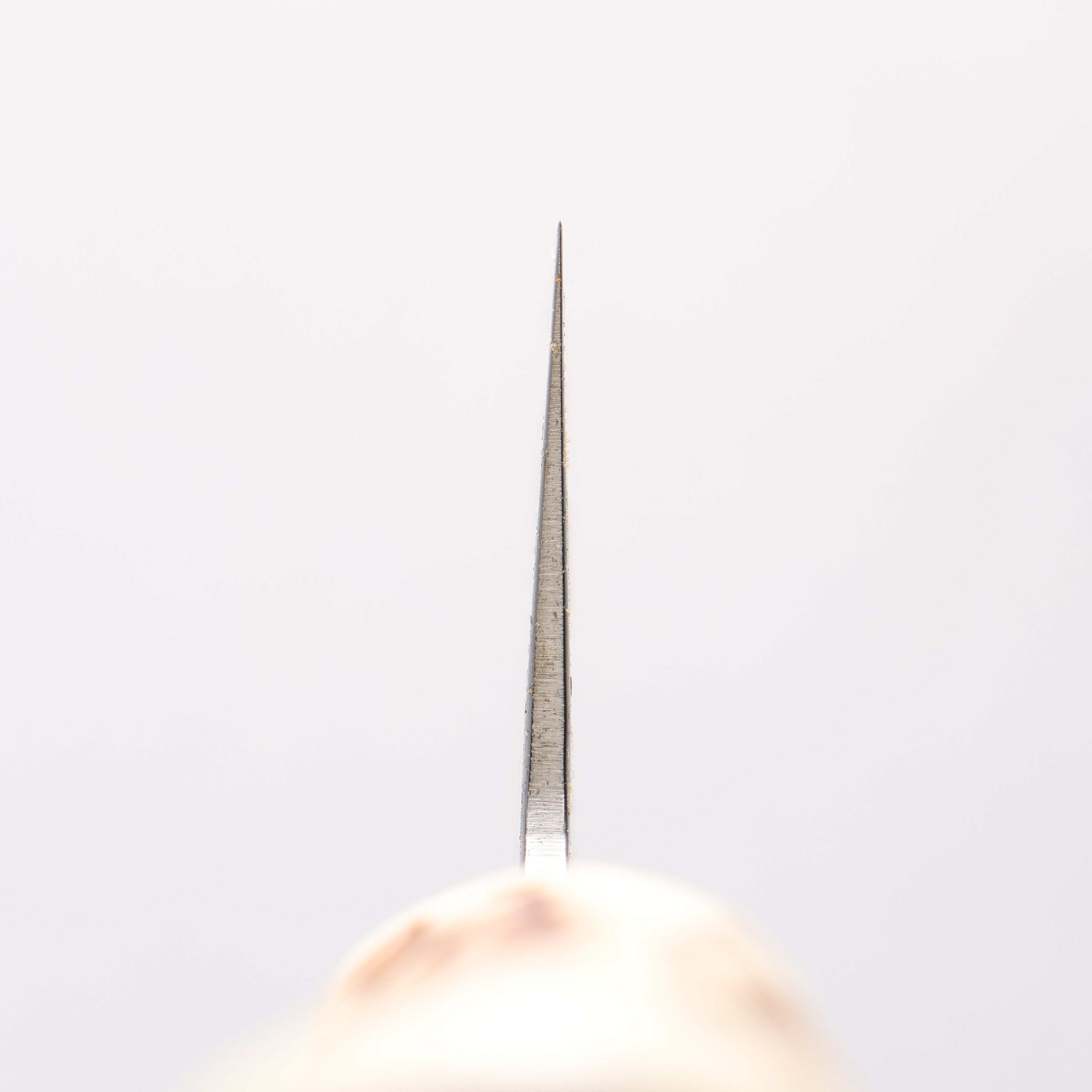 Sakai Takayuki VG10 33 Layer Damascus Gyuto 210mm Cow Bone Handle with Sheath - Japanny - Best Japanese Knife