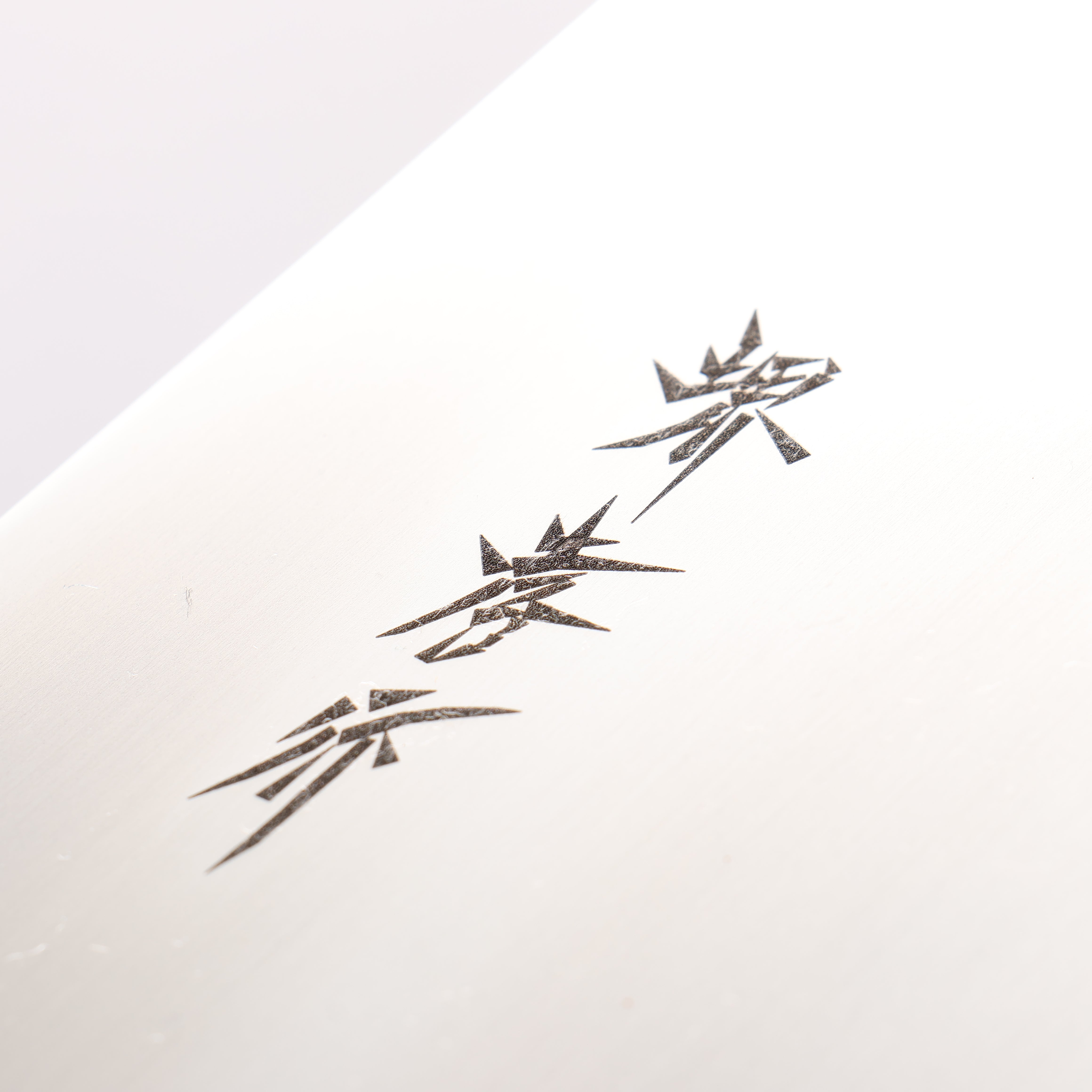 Sakai Takayuki Molybdenum Soba 300mm - Japanny - Best Japanese Knife