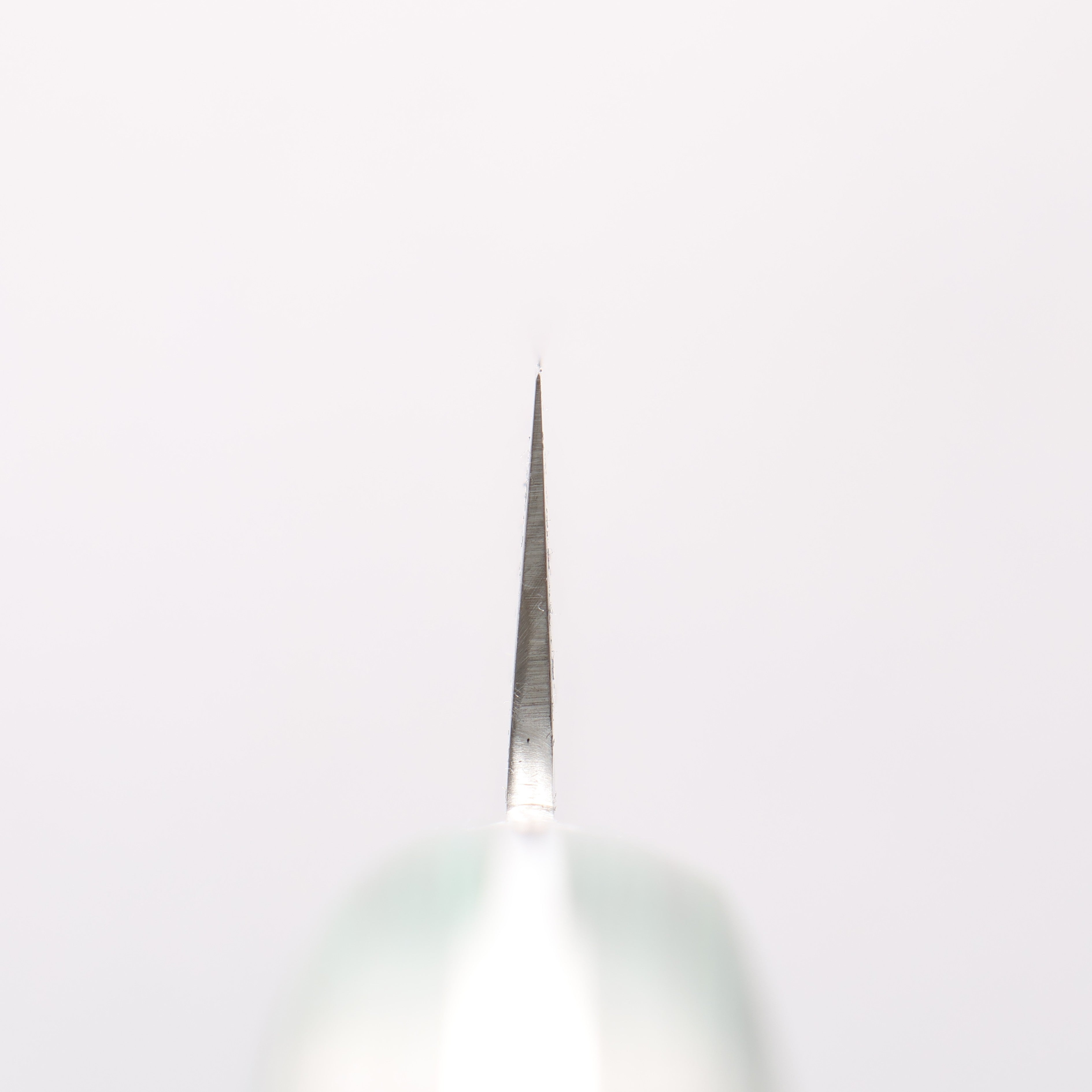 Sakai Takayuki VG10 17 Layer Damascus Sujihiki 240mm Green Pakka wood Handle - Japanny - Best Japanese Knife