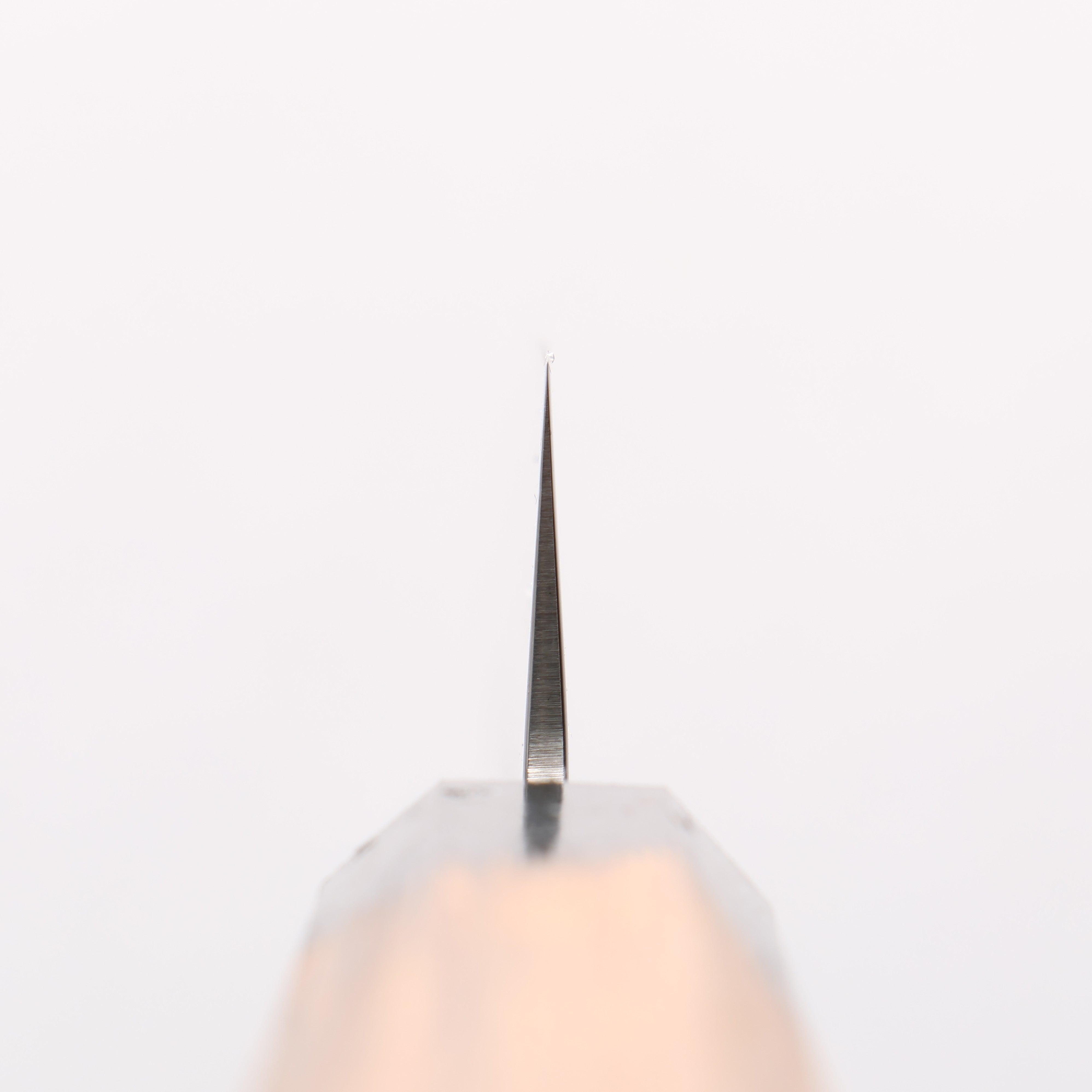 Sakai Takayuki VG10 33 Layer Damascus Sujihiki 240mm Live oak Lacquered (Kokushin) Handle - Japanny - Best Japanese Knife