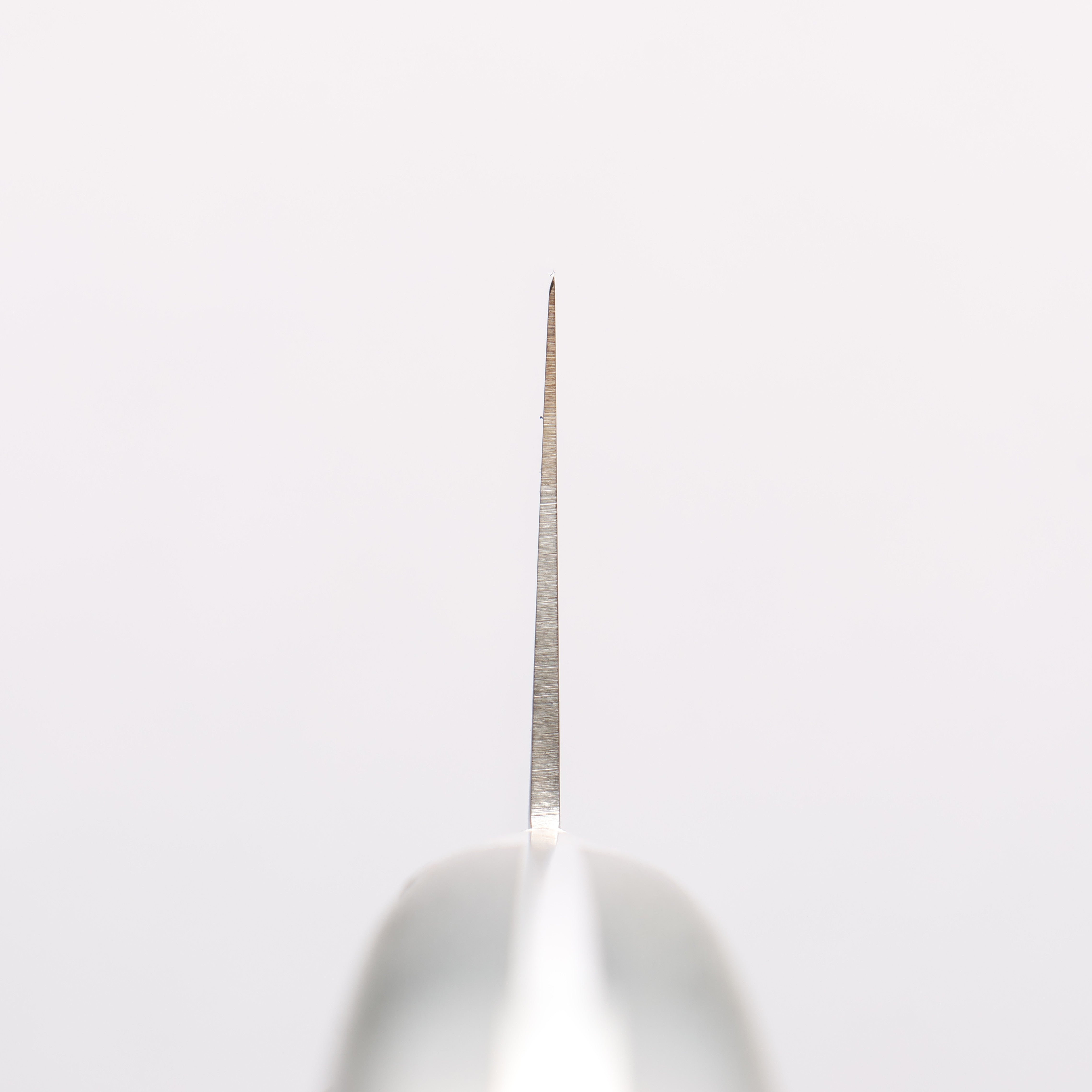 Sakai Takayuki Grand Chef Grand Chef Swedish Steel-stn Gyuto 210mm Green Micarta Handle - Japanny - Best Japanese Knife