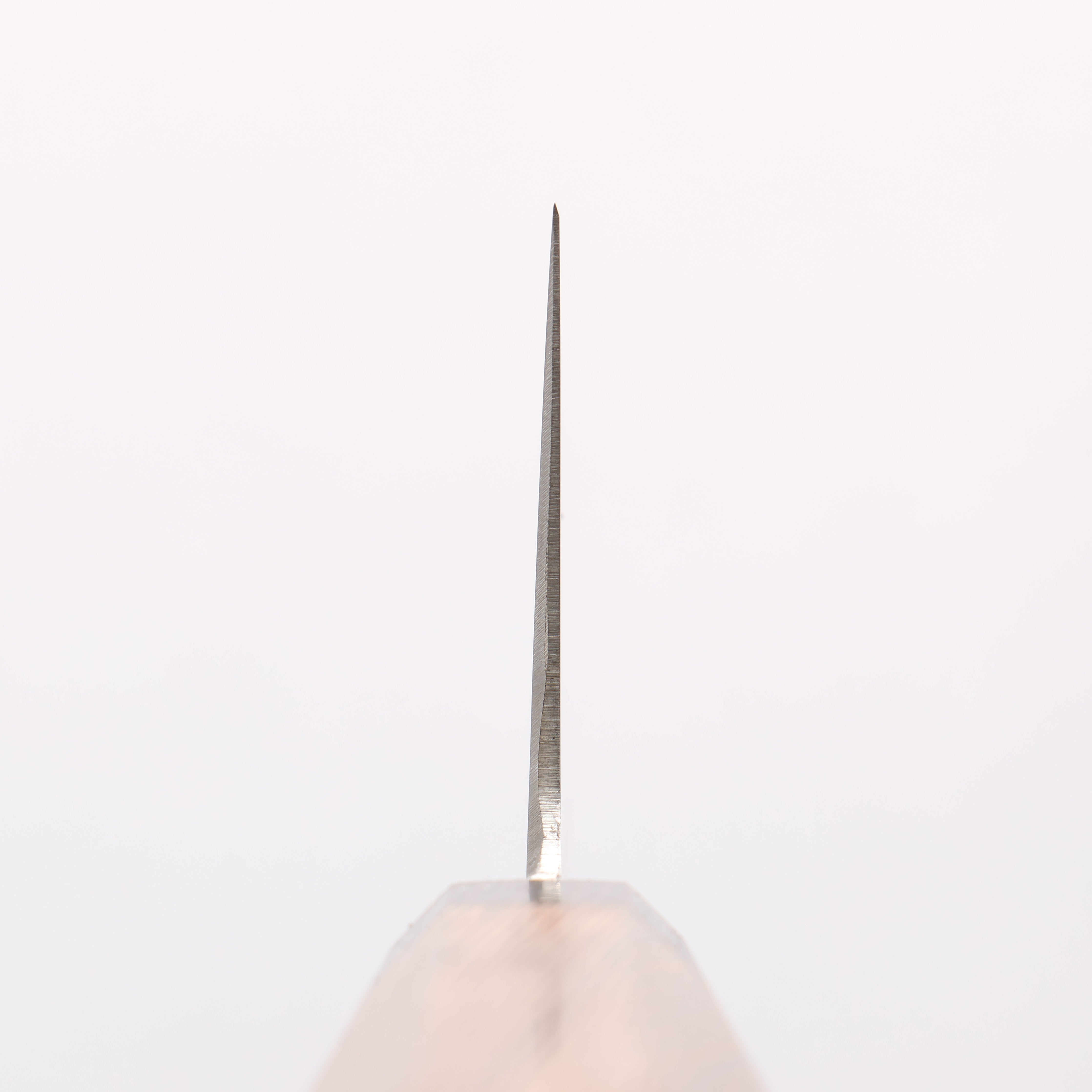 Sakai Takayuki Grand Chef Antares Swedish Steel-stn Sujihiki 240mm Wenge Handle - Japanny - Best Japanese Knife