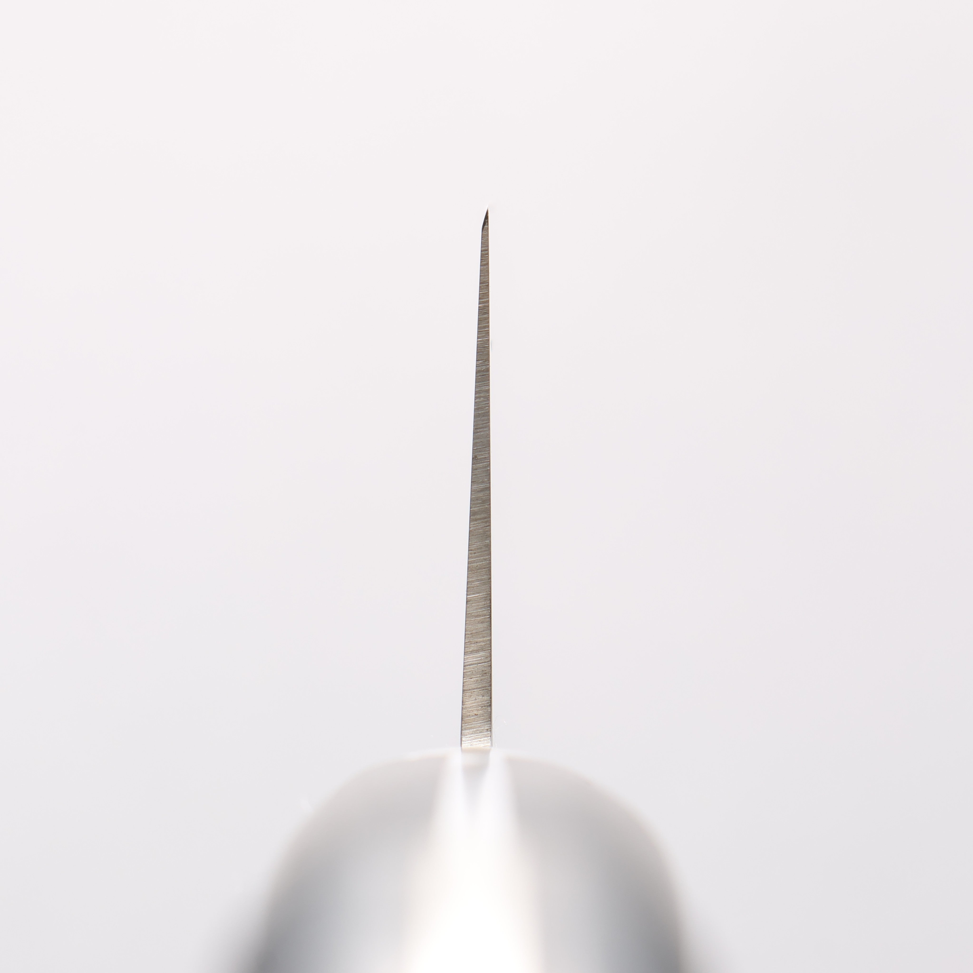 Sakai Takayuki Grand Chef Swedish Steel-stn Gyuto - Japanny - Best Japanese Knife