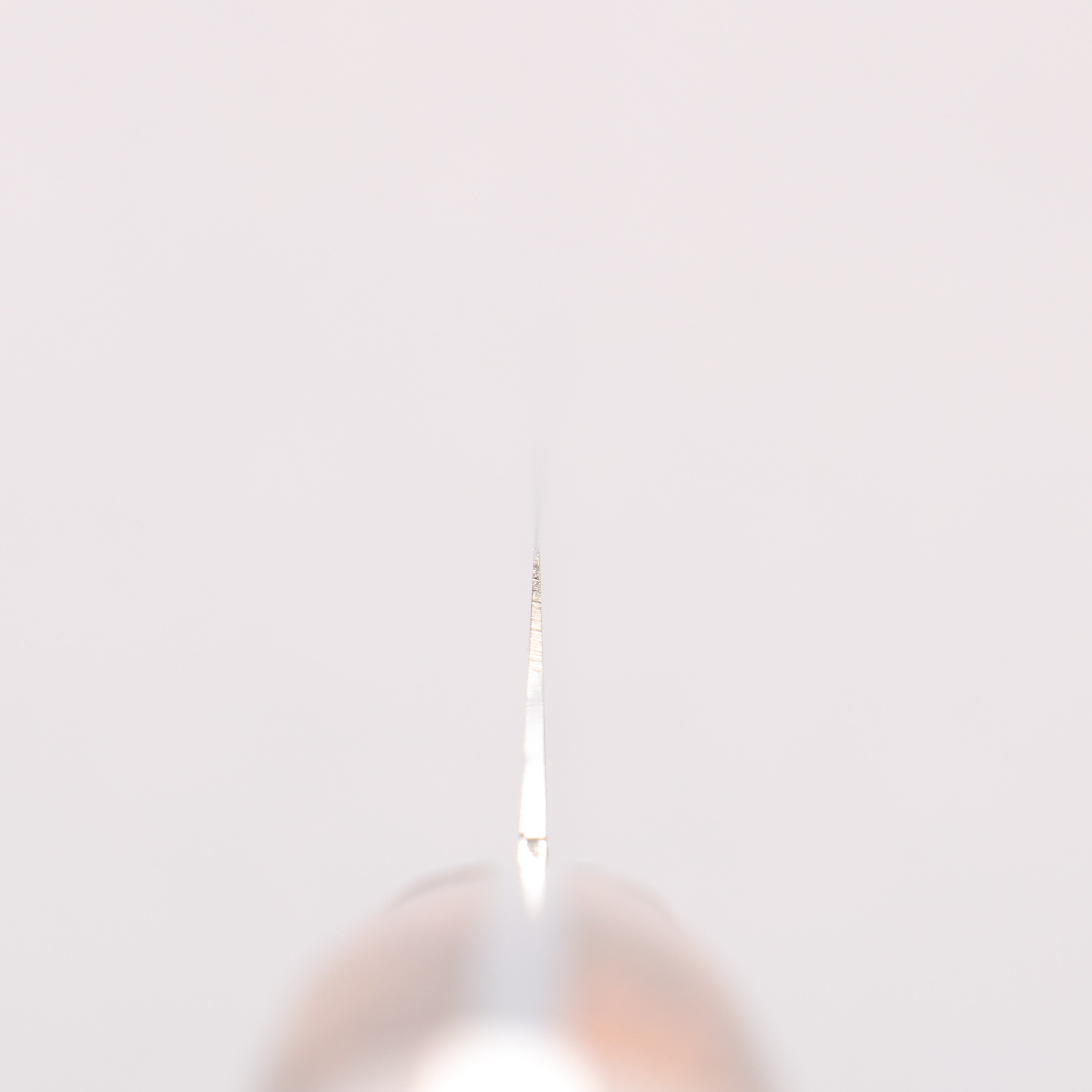 Sakai Takayuki Stainless Steel Carving & Fork Set mm - Japanny - Best Japanese Knife