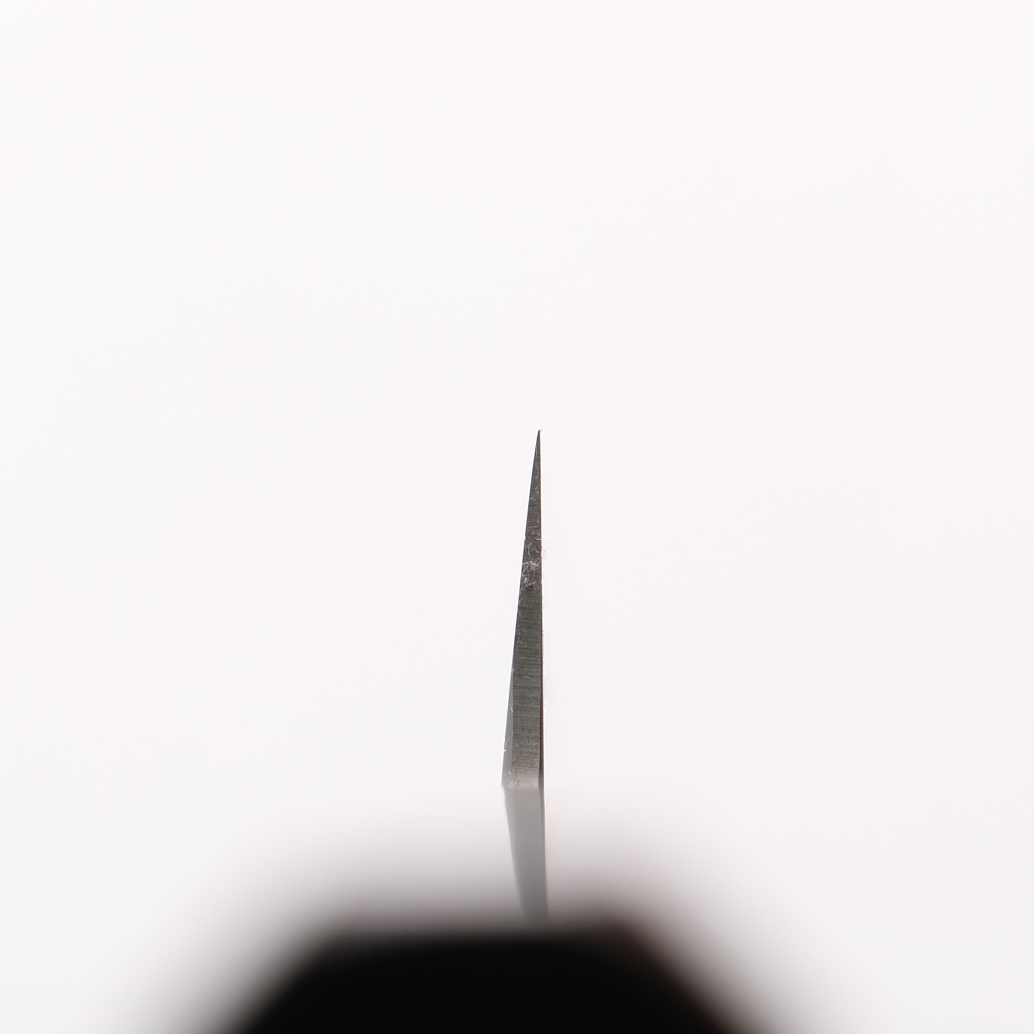 Sakai Takayuki Silver Steel No.3 Petty-Utility 150mm Ebony Wood Handle - Japanny - Best Japanese Knife