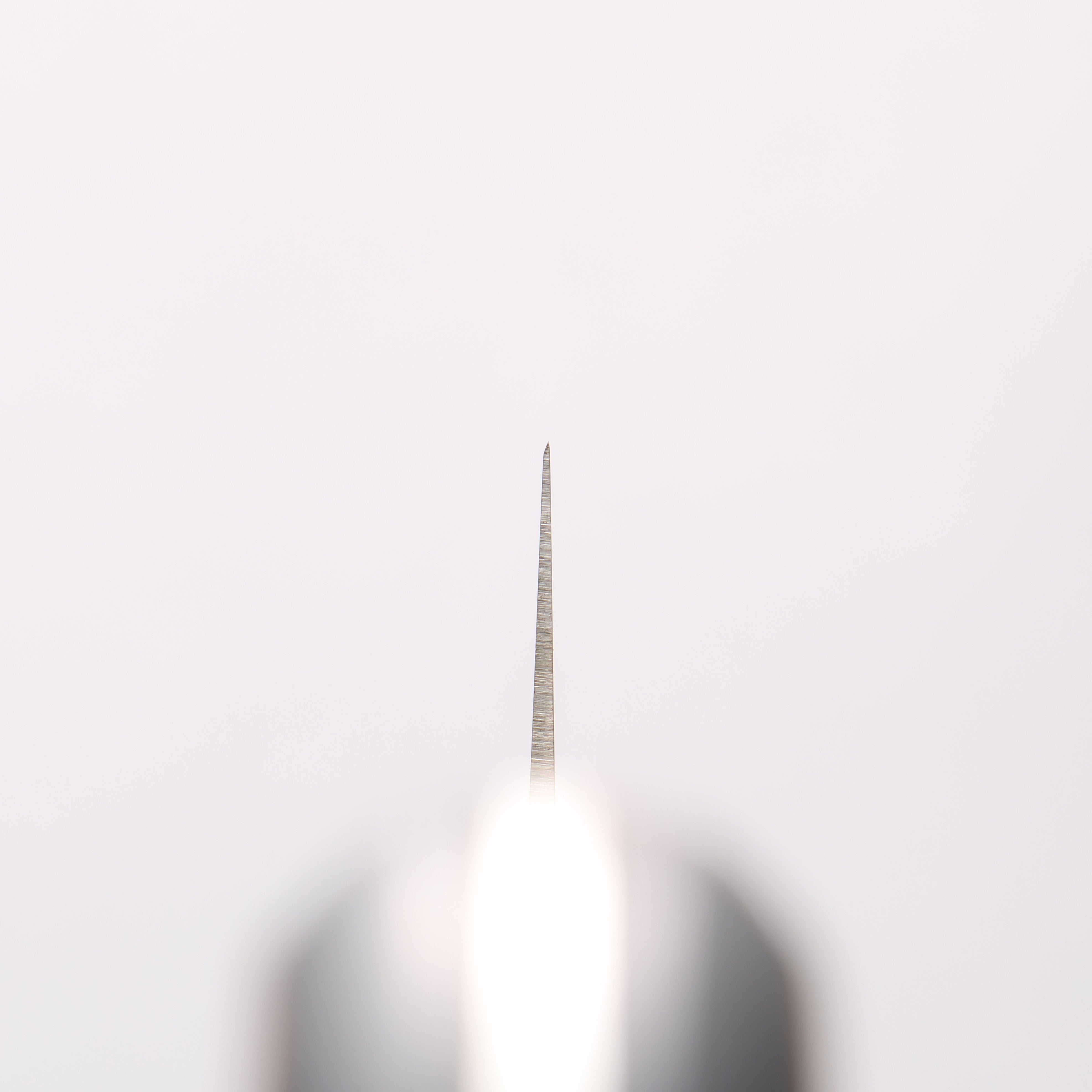 Sakai Takayuki TUS Stainless Steel Sujihiki - Japanny - Best Japanese Knife