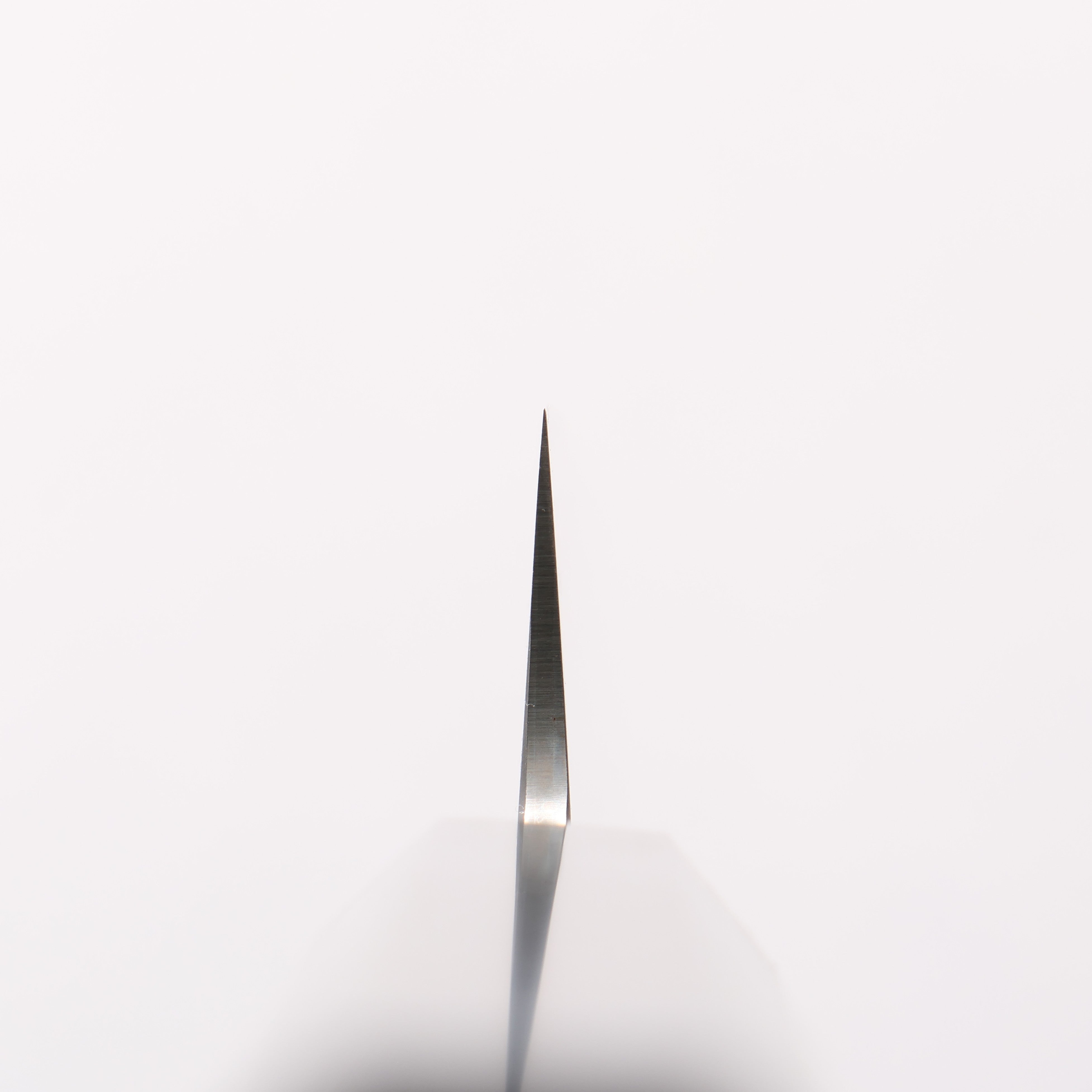 Sakai Takayuki Silver Steel No.3 Sujihiki 270mm - Japanny - Best Japanese Knife