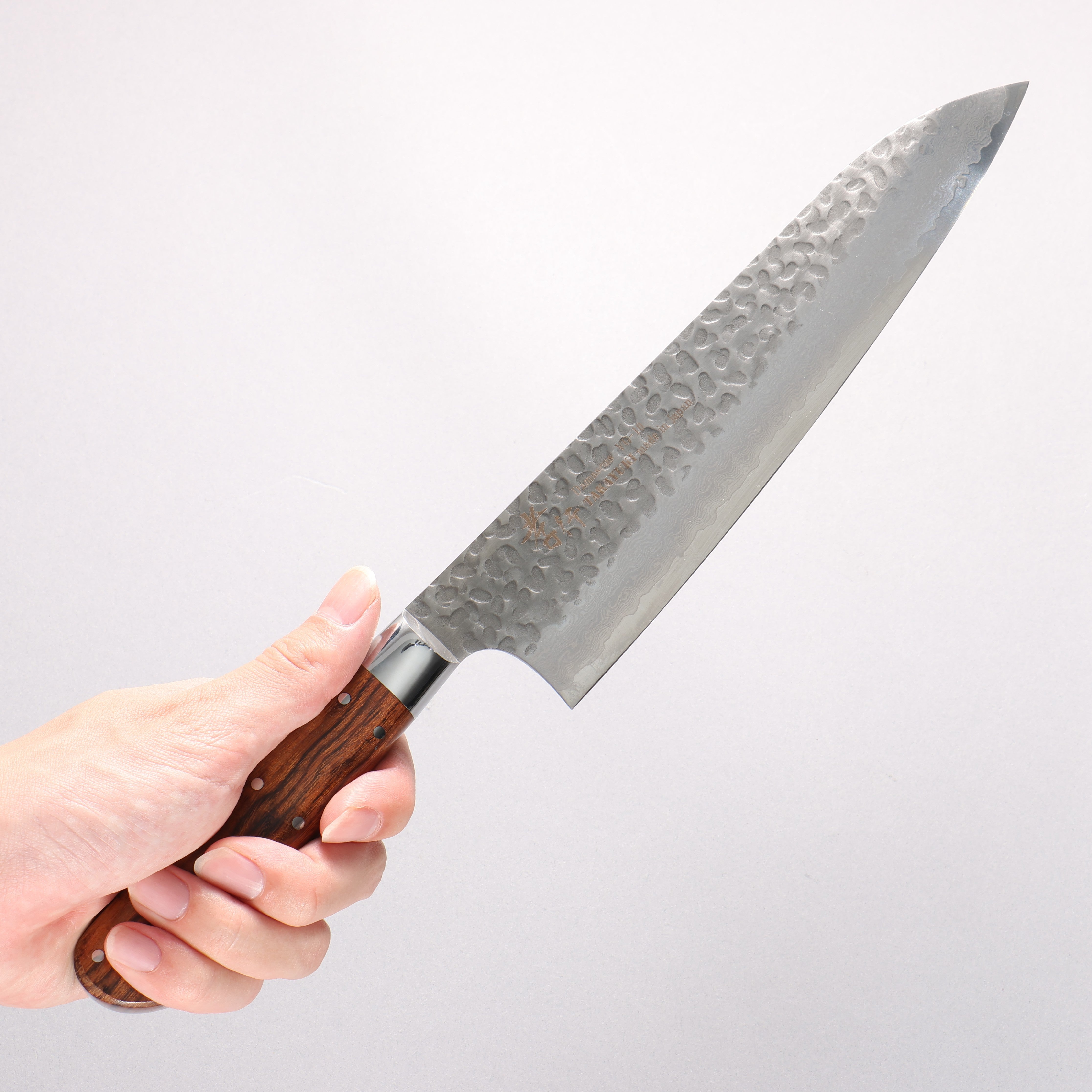 Sakai Takayuki VG10 33 Layer Damascus Gyuto 210mm Desert Ironwood(Sugihara model) Handle - Japanny - Best Japanese Knife