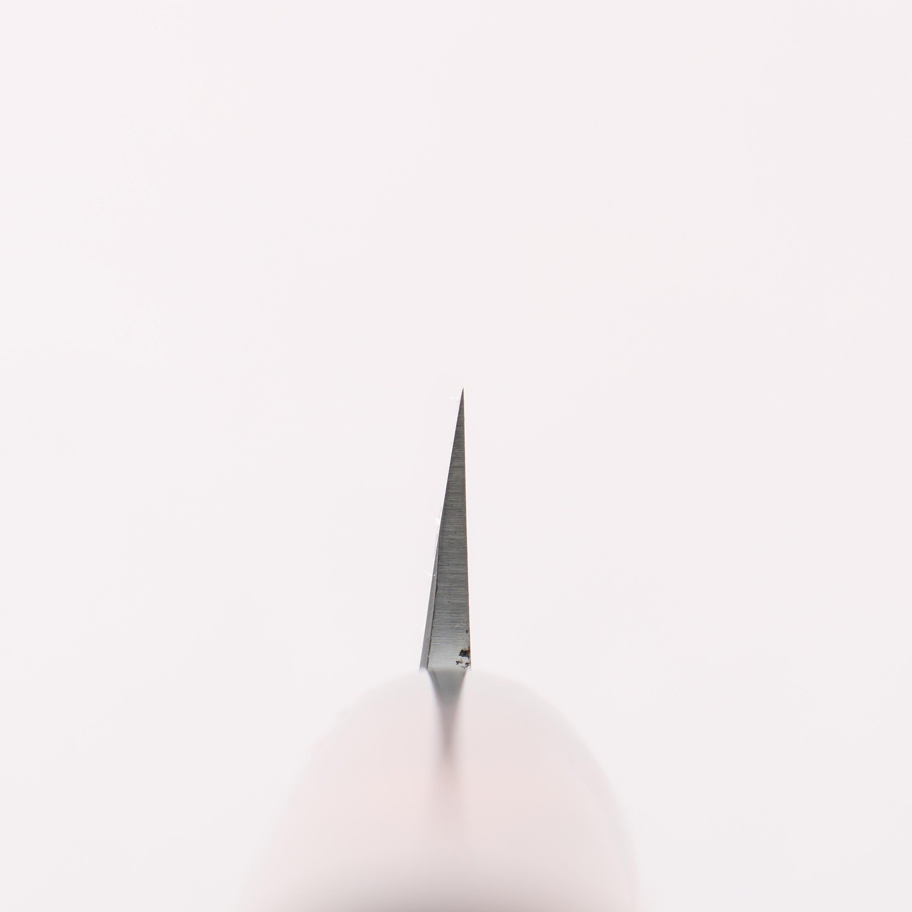 Jikko White Steel No.2 Yanagiba 240mm Shitan Handle - Japanny - Best Japanese Knife