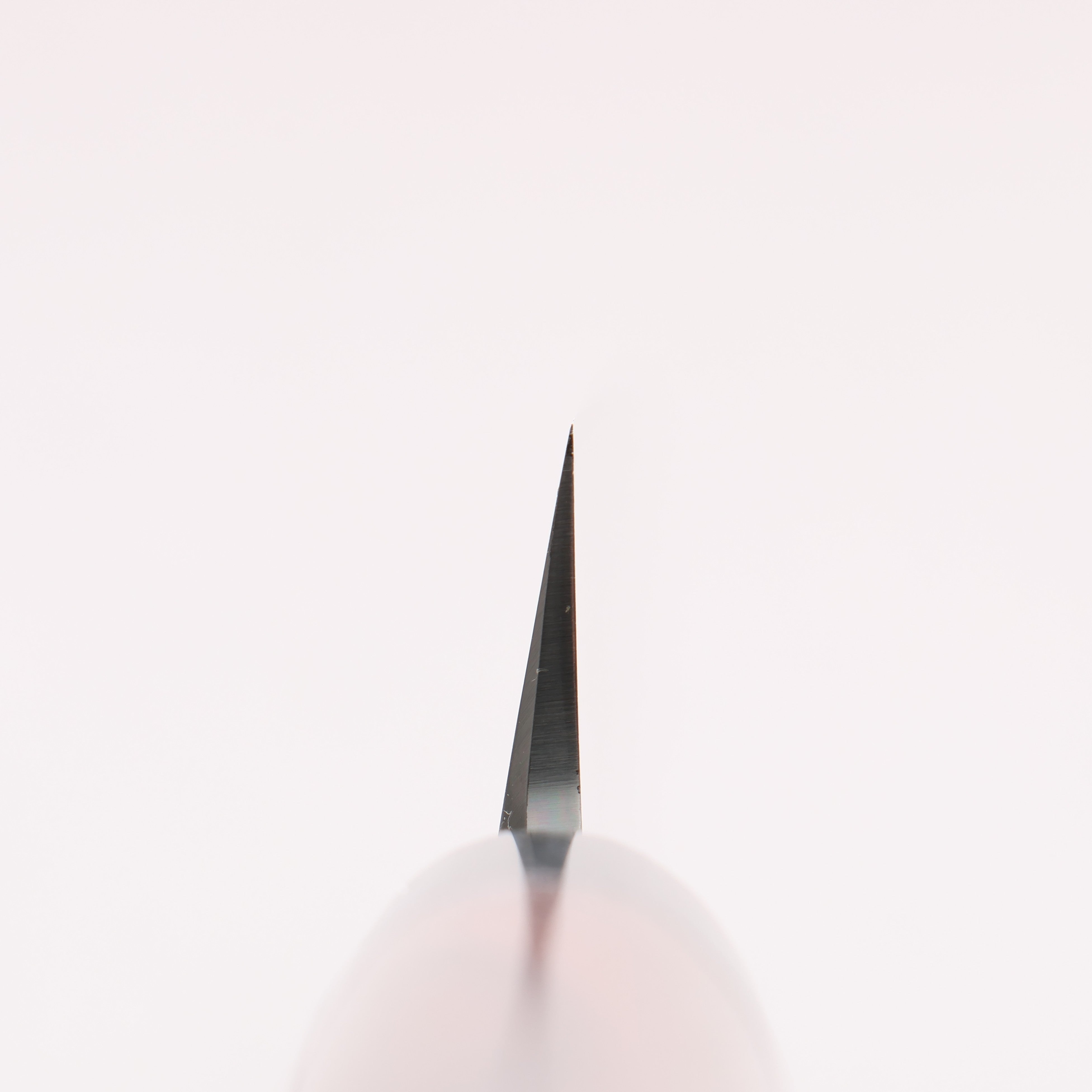 Jikko White Steel No.2 Sakimaru Yanagiba 330mm Shitan Handle - Japanny - Best Japanese Knife