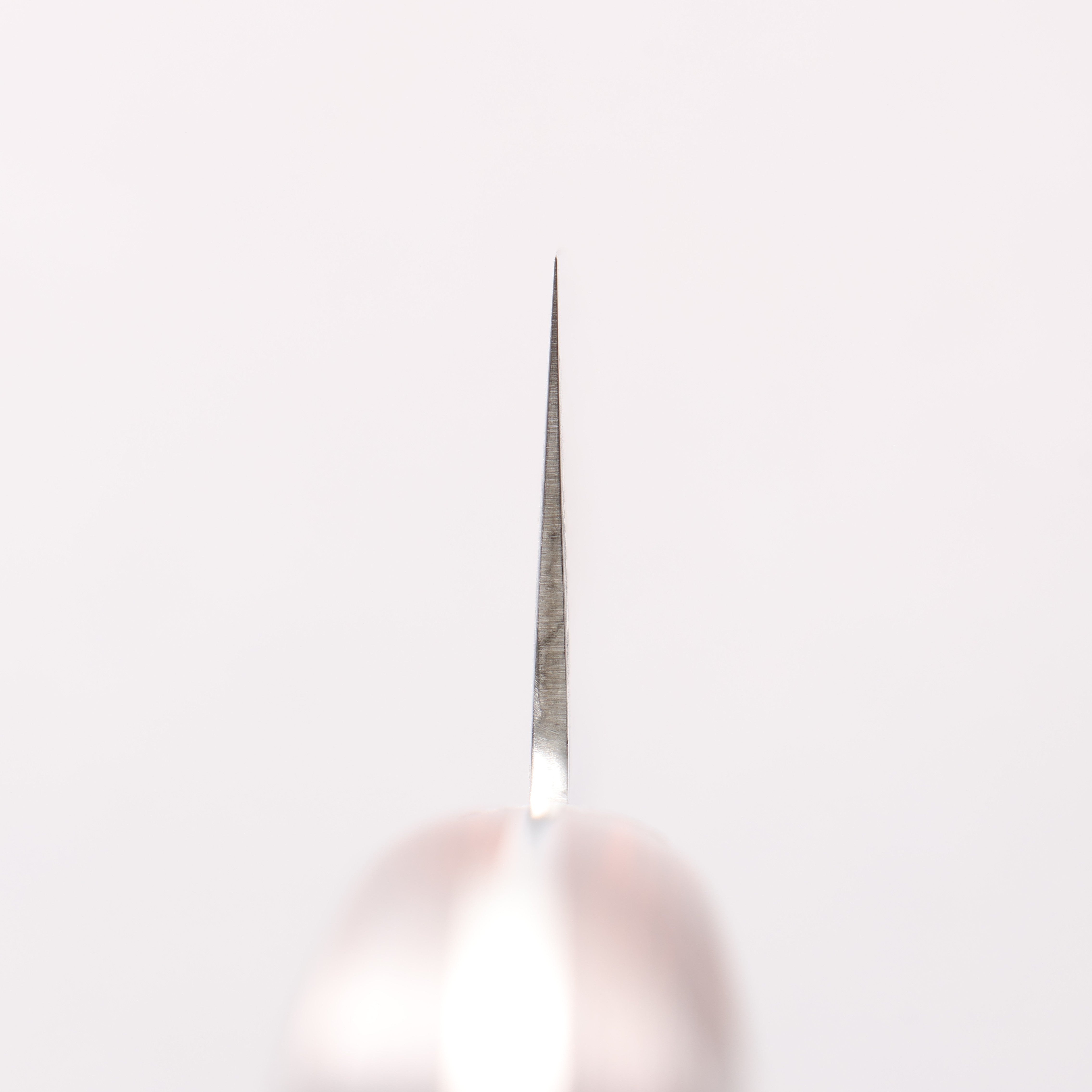 Sakai Takayuki VG10 17 Layer Damascus Gyuto 210mm - Japanny - Best Japanese Knife