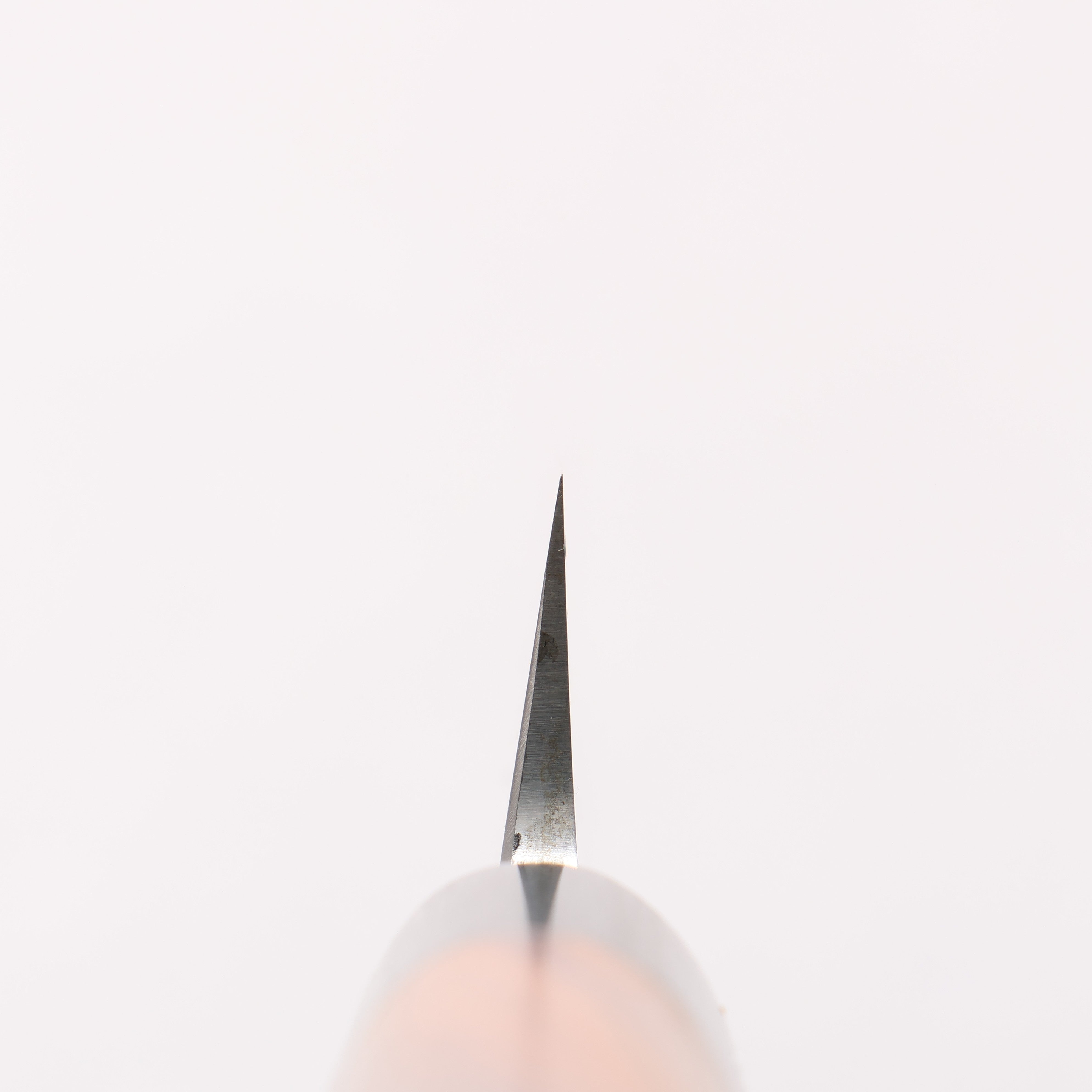 Jikko White Steel No.2 Kiritsuke Yanagiba 270mm Shitan Handle - Japanny - Best Japanese Knife