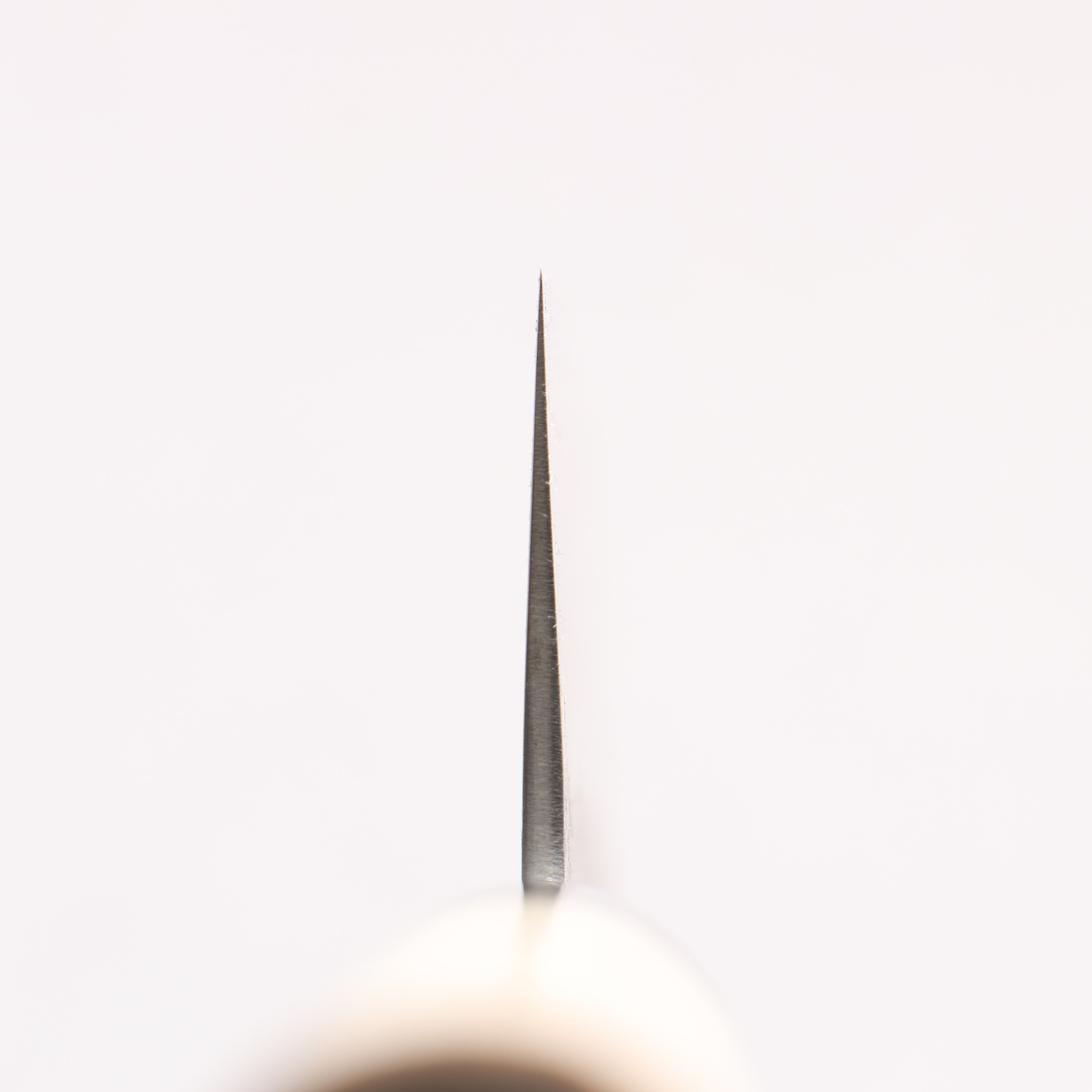 Seisuke Silver Steel No.3 Nashiji Santoku 165mm Magnolia Handle - Japanny - Best Japanese Knife