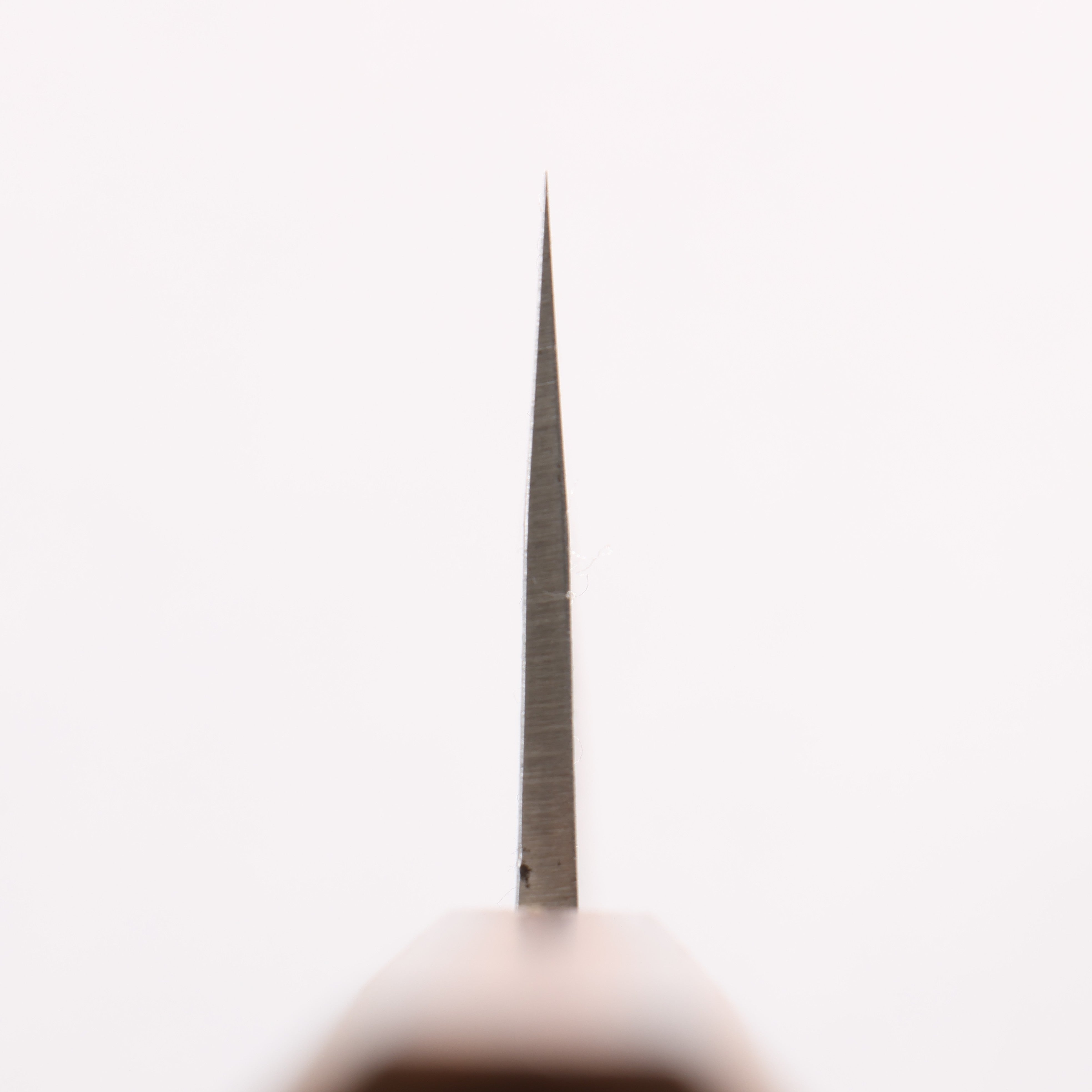 Oul SLD Nashiji Kiritsuke Gyuto 200mm Oak (Baikoku / Soot Black) Handle - Japanny - Best Japanese Knife