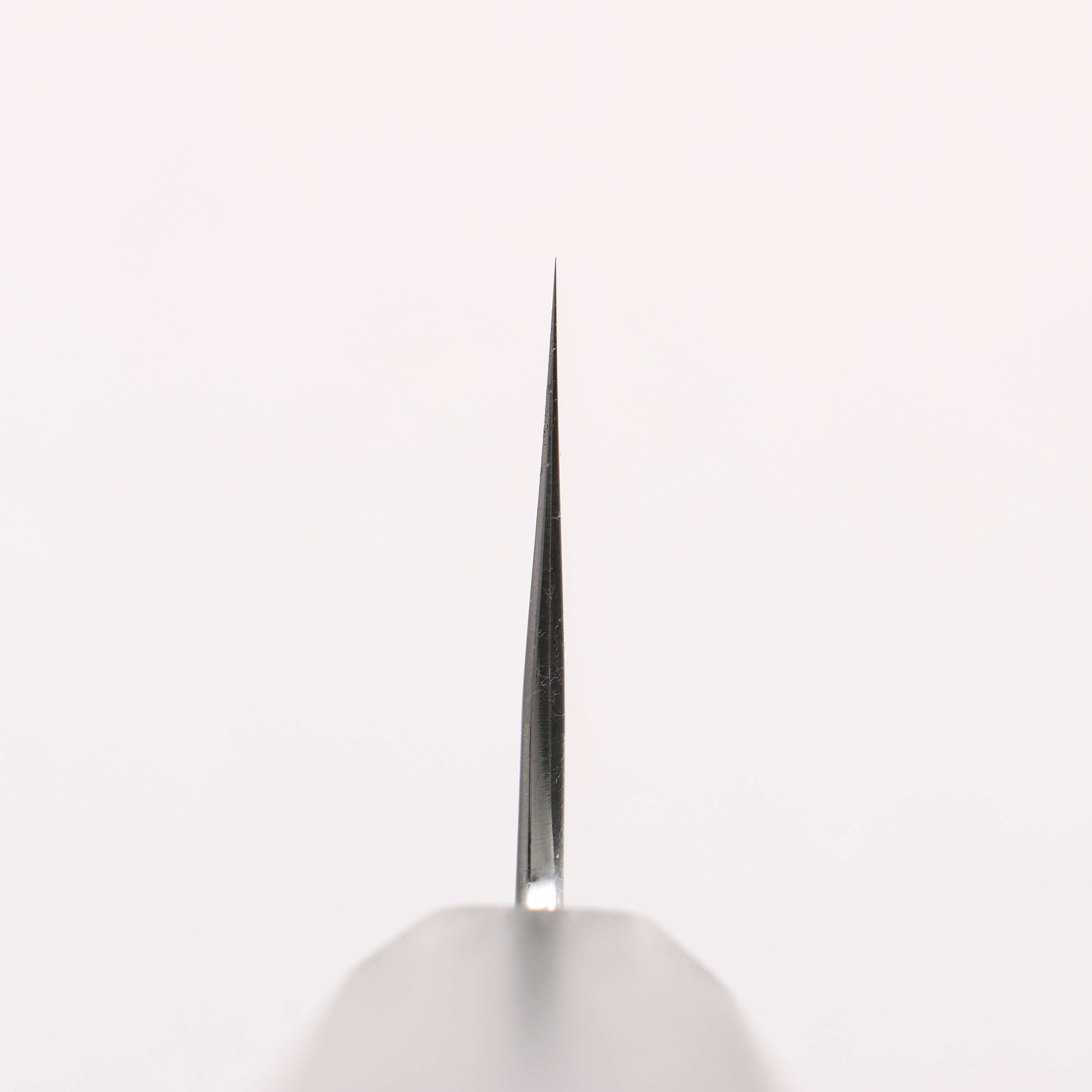 Kagekiyo Silver Steel No.3 Gyuto 210mm Black Lacquered (Magnolia) Handle - Japanny - Best Japanese Knife