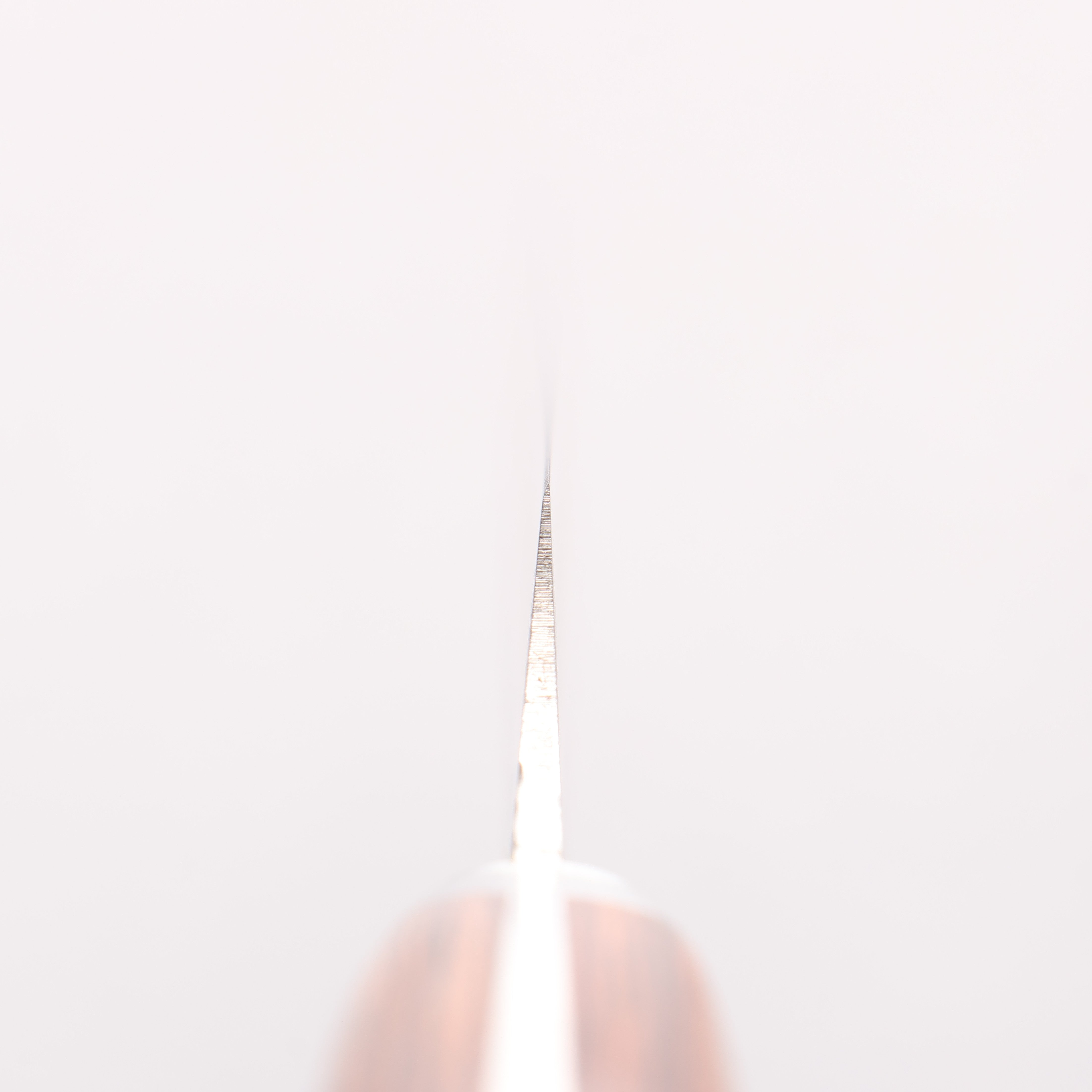 Jikko VG10 17 Layer Yanagiba 300mm Mahogany Handle - Japanny - Best Japanese Knife