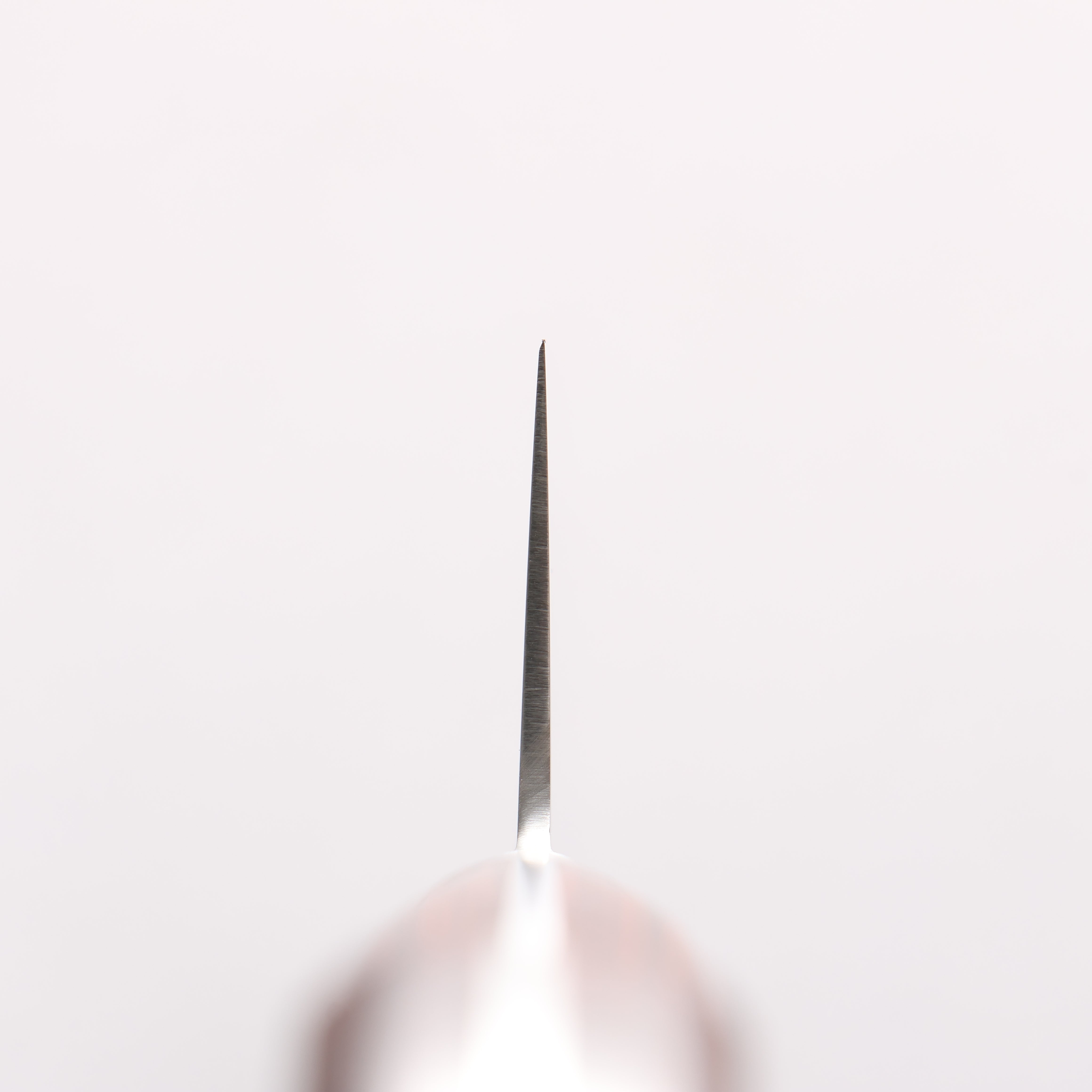 Seisuke VG10 Kiritsuke Gyuto 210mm Mahogany Handle - Japanny - Best Japanese Knife