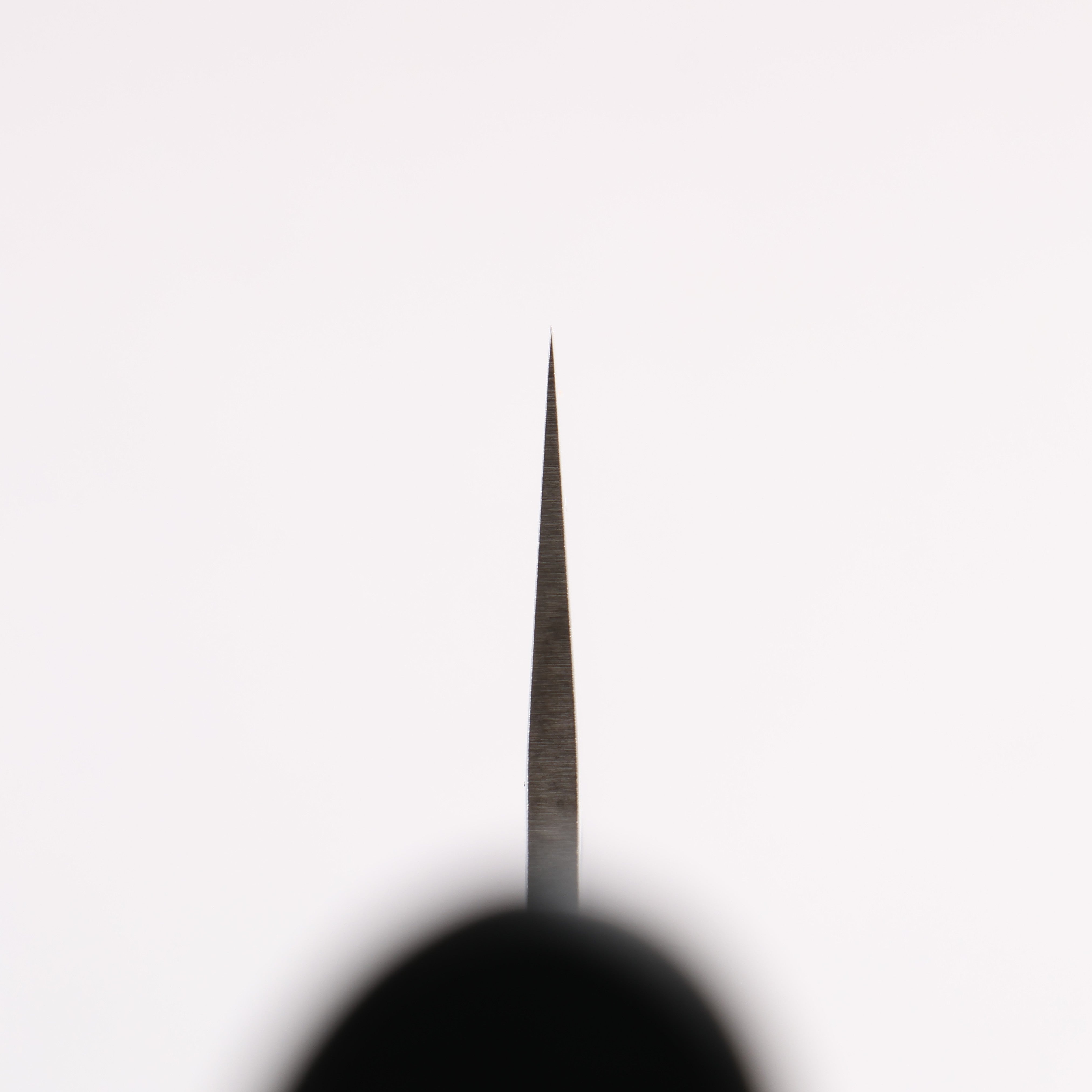 Seisuke VG10 33 Layer Hammered Damascus Gyuto 210mm Black Pakka wood Handle - Japanny - Best Japanese Knife