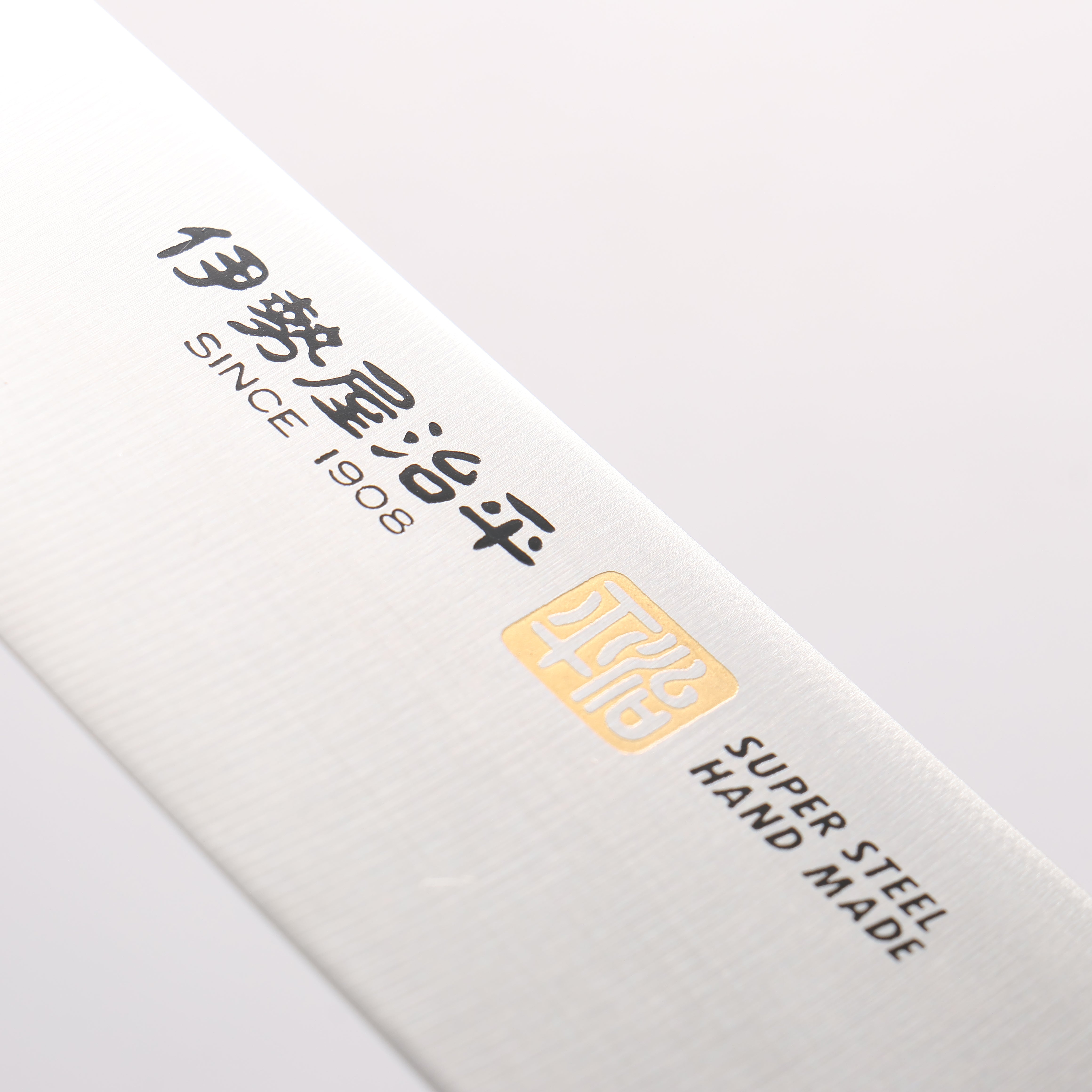 Iseya Molybdenum Gyuto 210mm Black Micarta Handle - Japanny - Best Japanese Knife